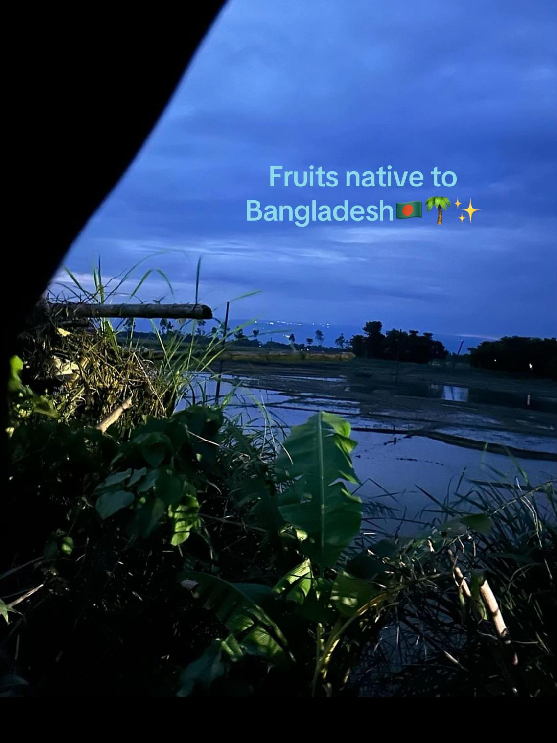 @ᥫ᭡.