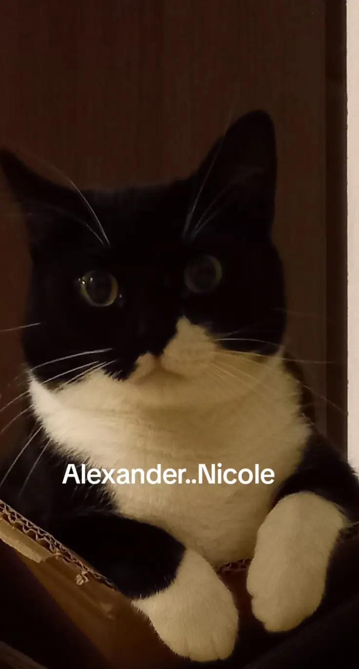@Alexander..Nicole