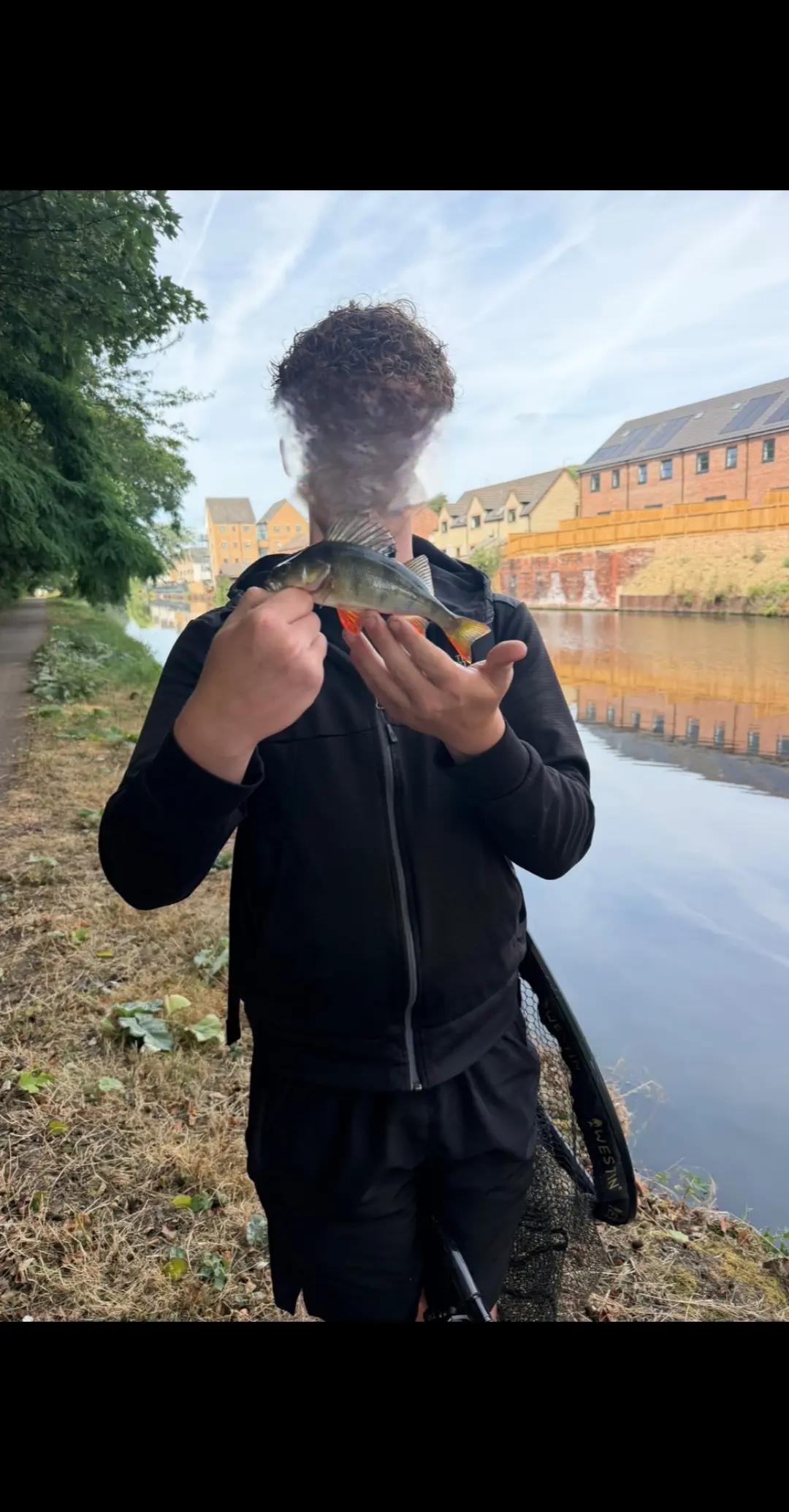 @RB.fishing
