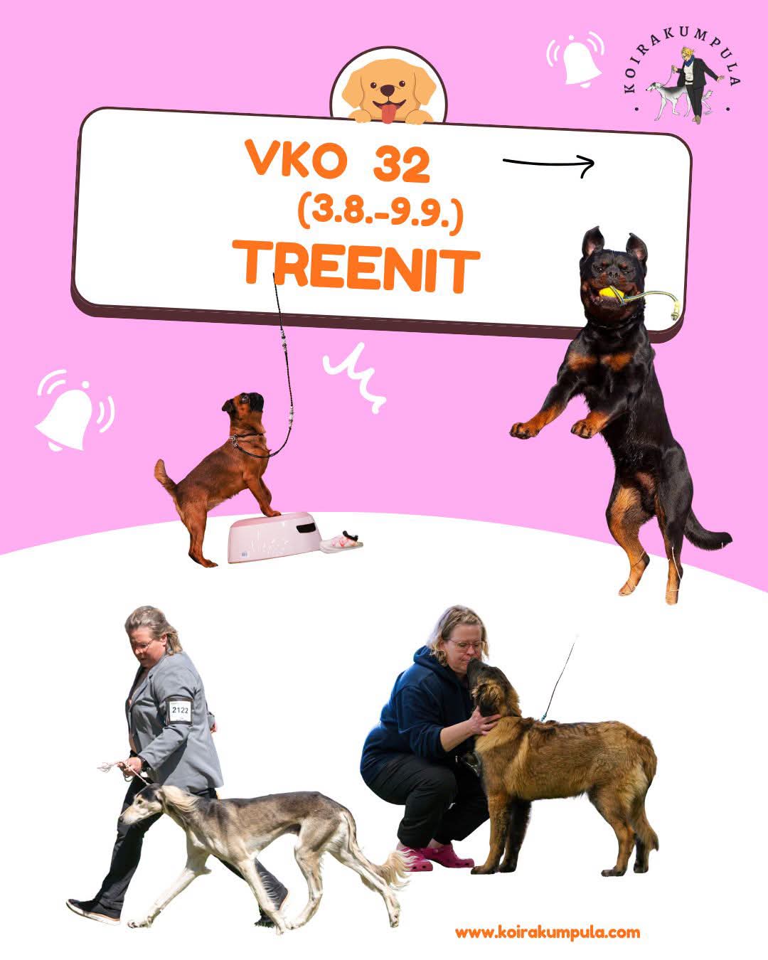 @Erja