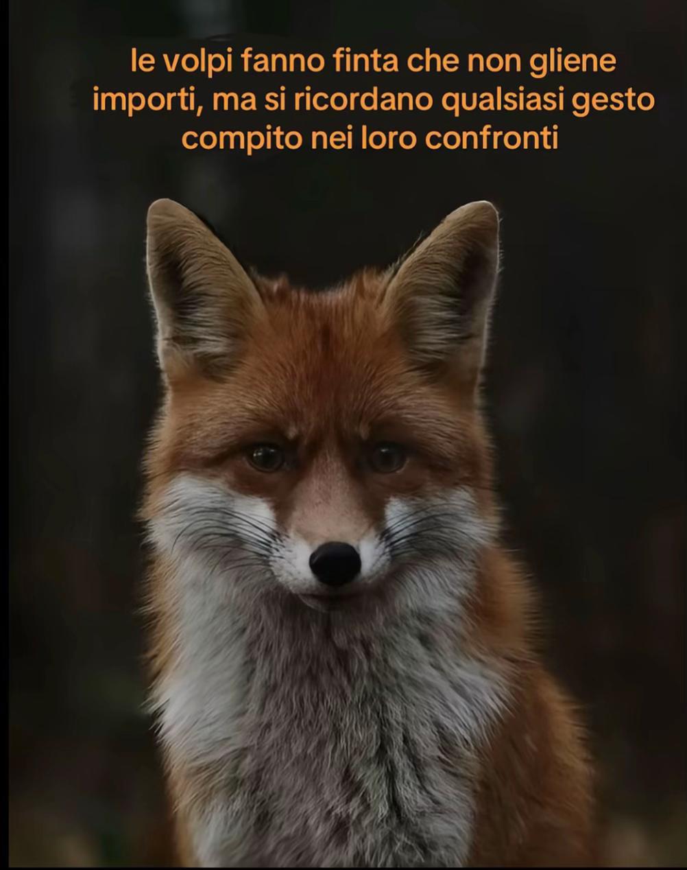 @carlotta👸🏻