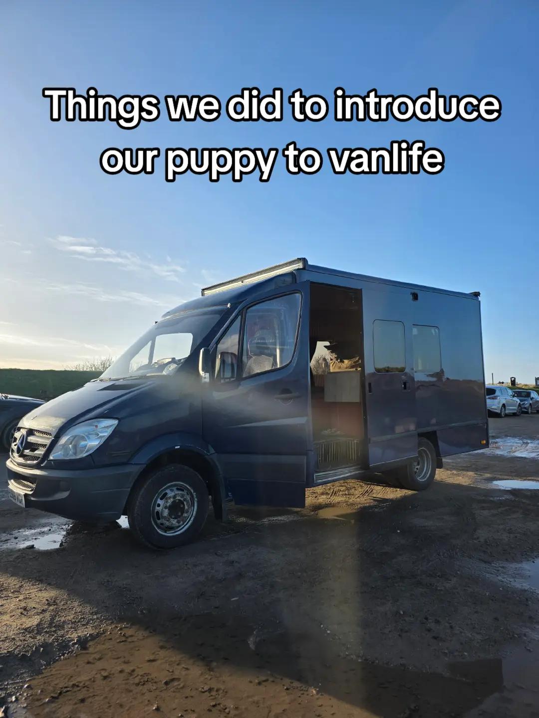 @Sarah | Van Life