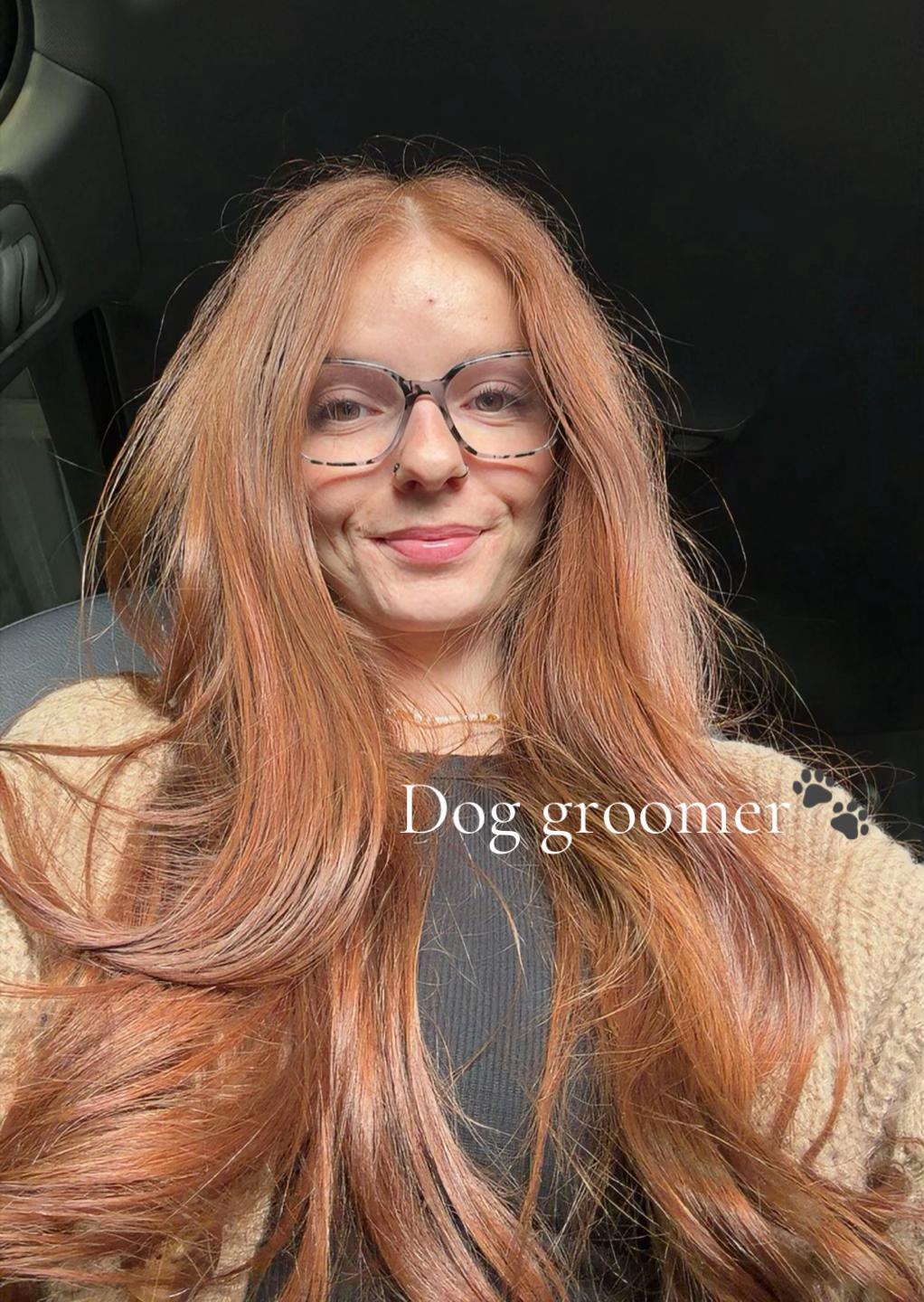 @hollyshoundsgrooming