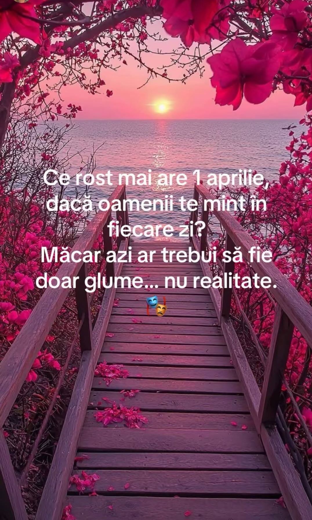 @Druta Flaviu Si Avi