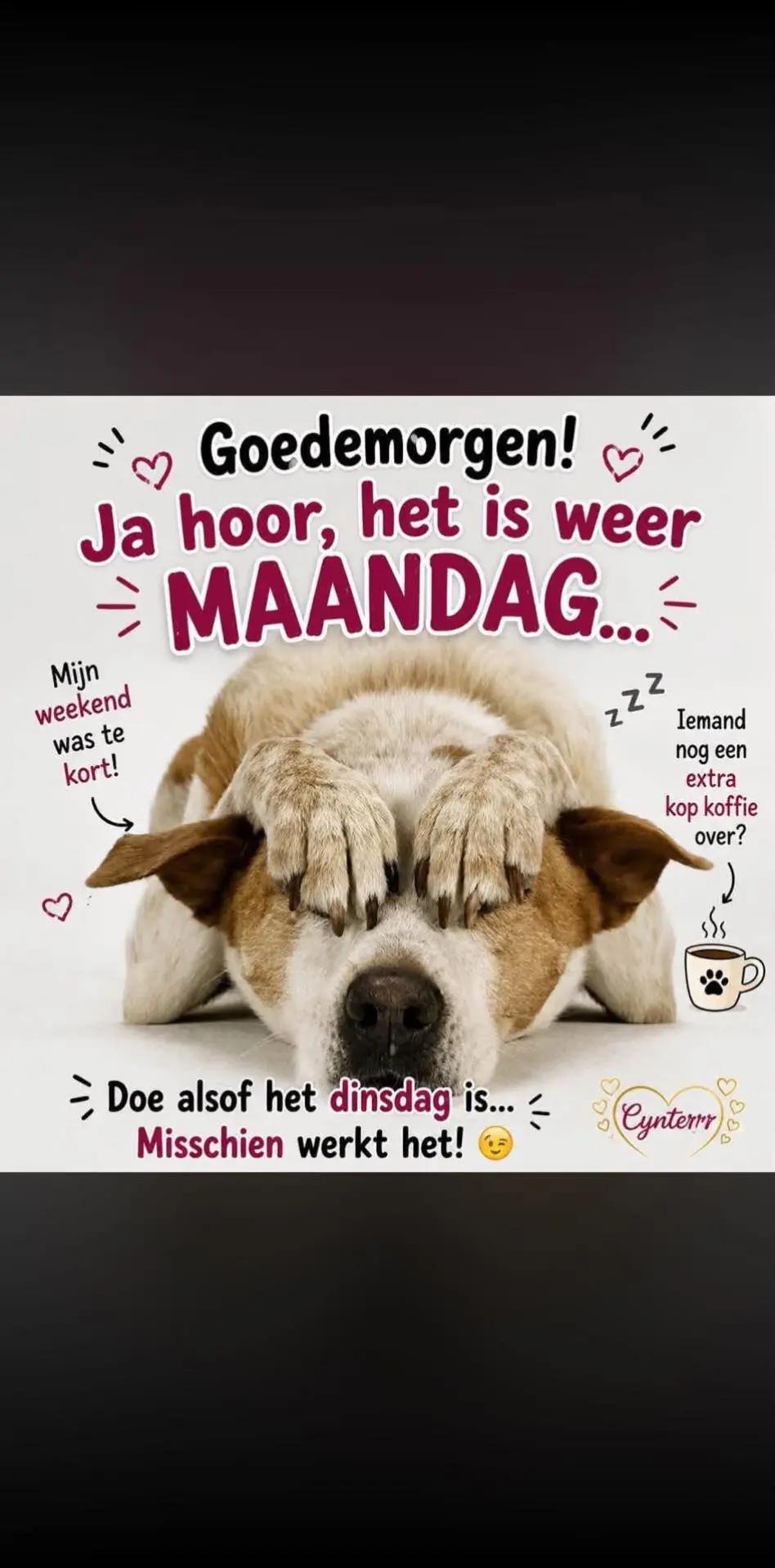 @team🌹🌹love my dogs🌹🌹🐶🐶🐶