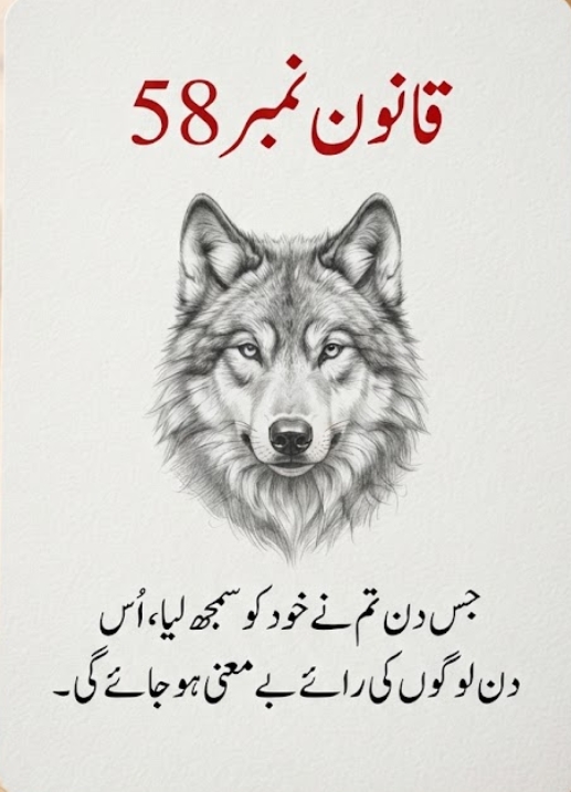 @✌️ MIAN SHAHZAIB ✌️