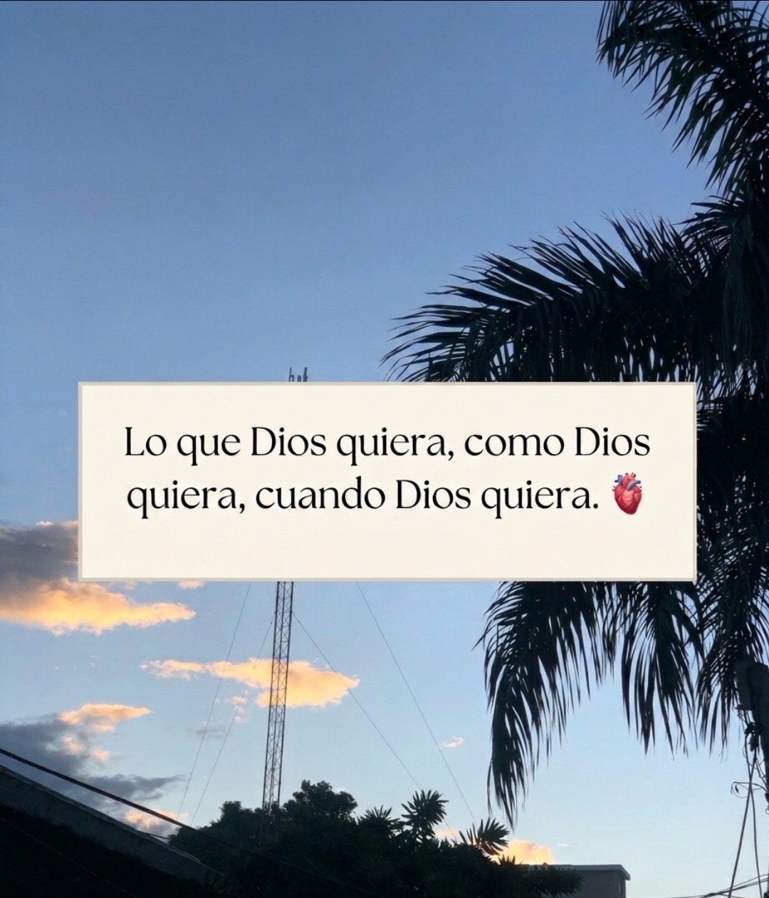 @Filo