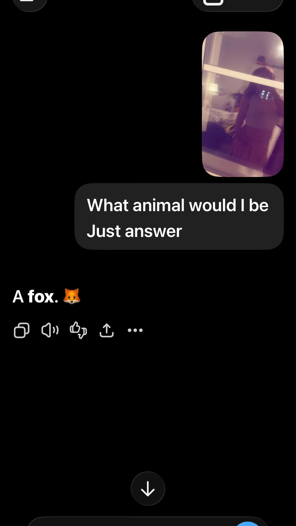 @amy2008frayling03