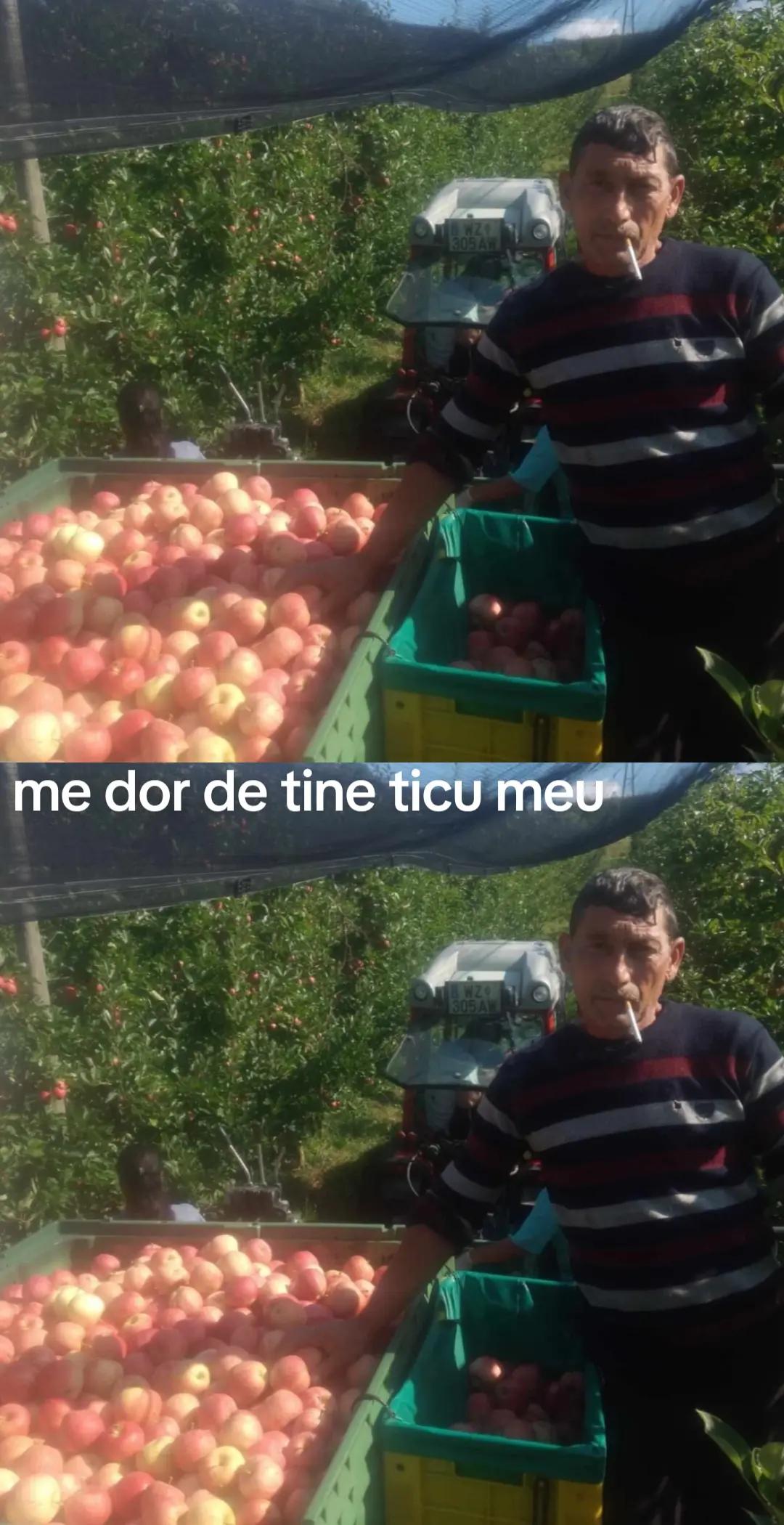 @Fitan Catalina Iasmina