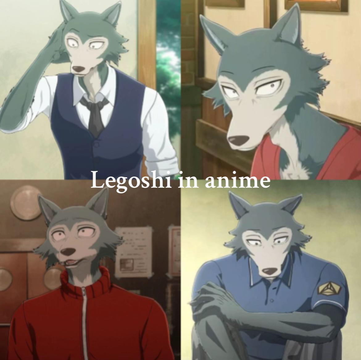 @|🐾 &bull; ( 🦴 レゴシ 🦴 ) &bull; 🐺|