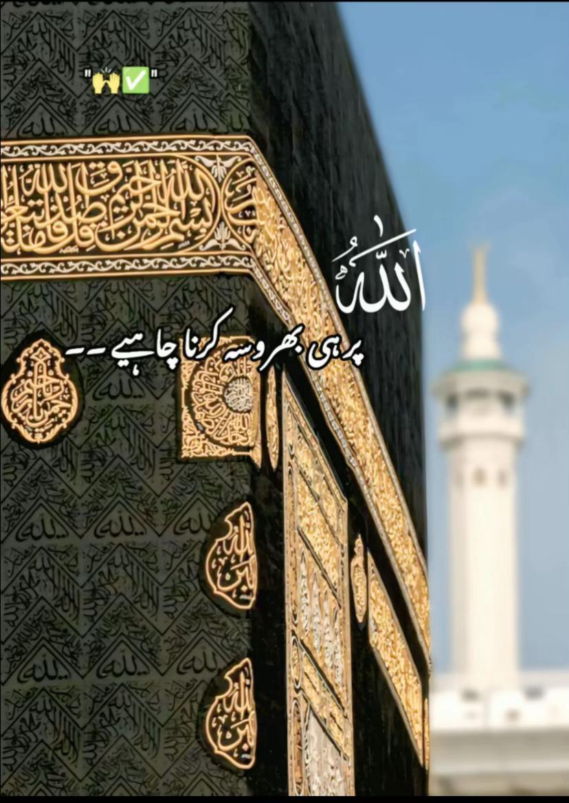 @🫥MALIK SHAHZAIB🗽