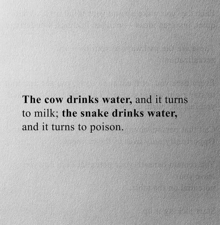 @🌓 Alchemist 🌗