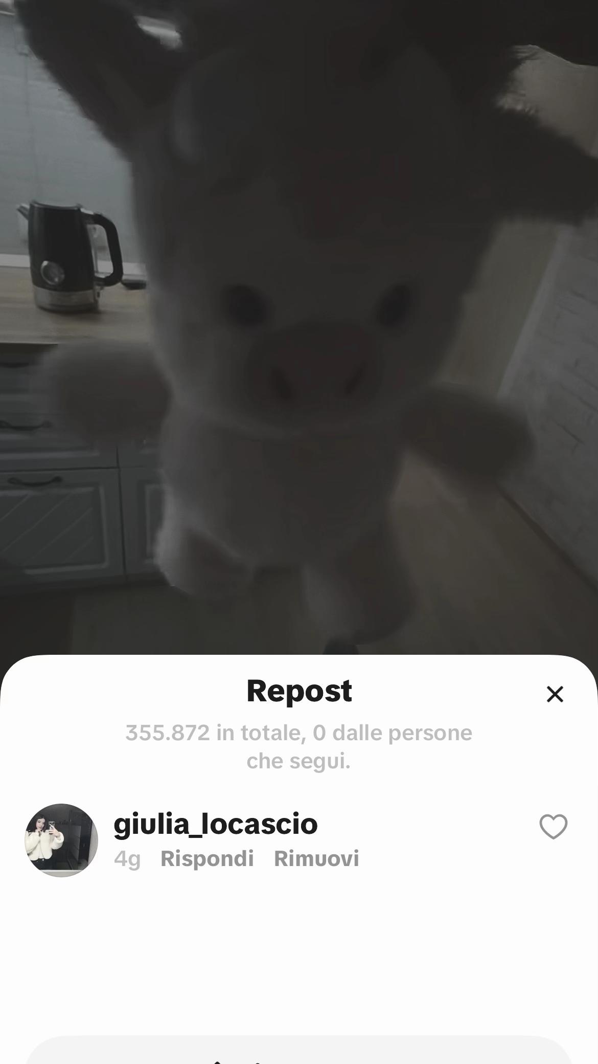 @giulia_locascio