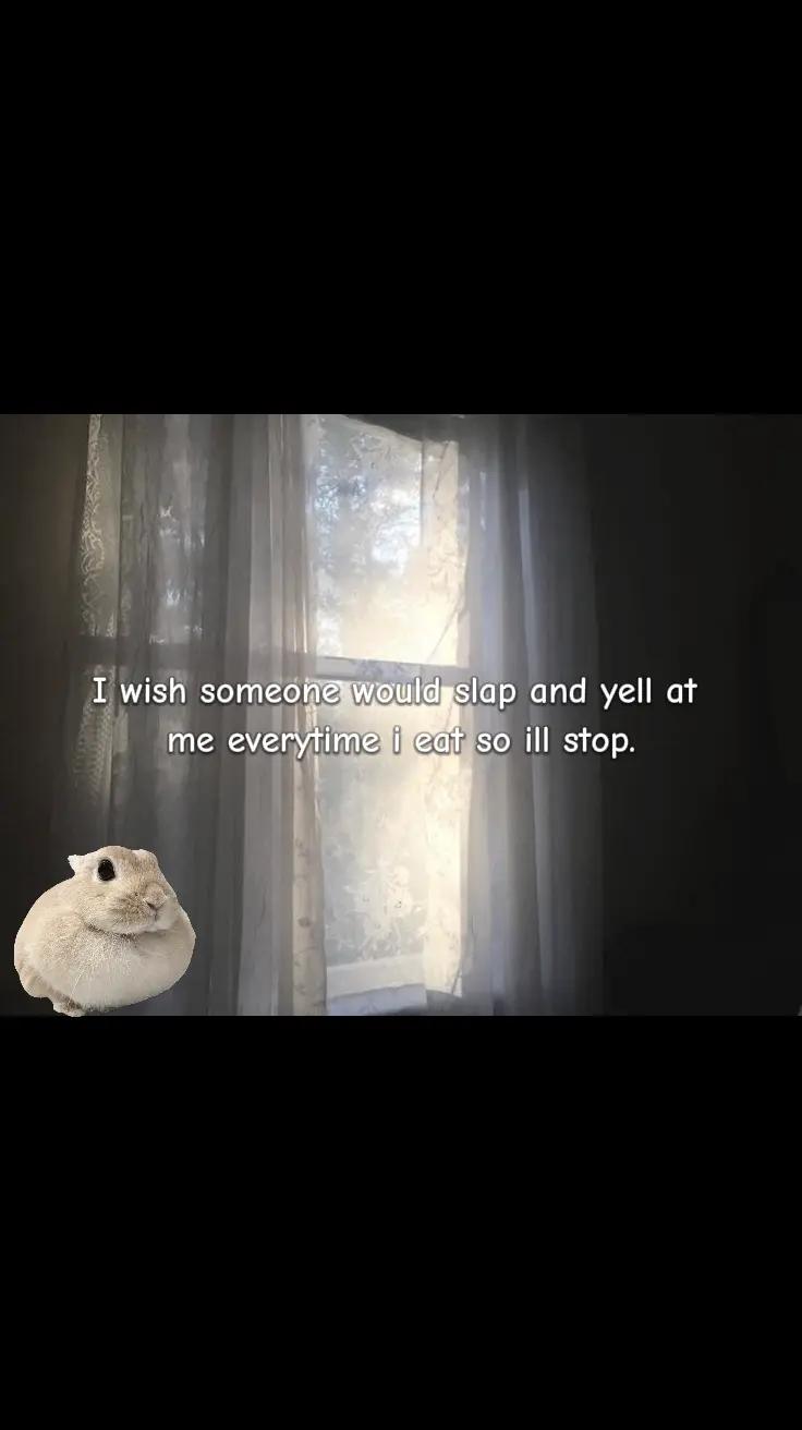 @🪽𝓑𝓾𝓷𝓷𝔂݁ ˖Ი𐑼⋆