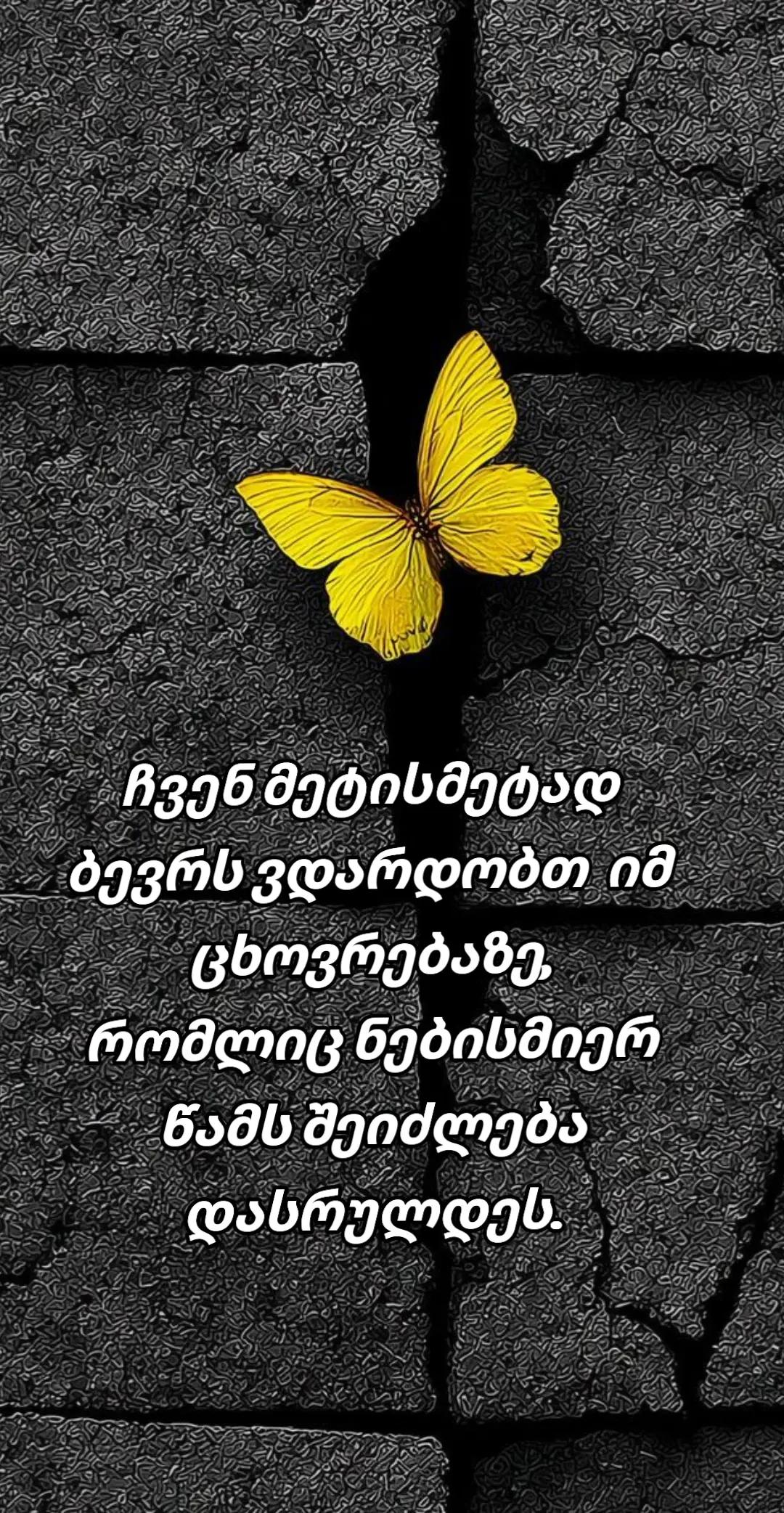 @TEKO๐ฆ๐ค