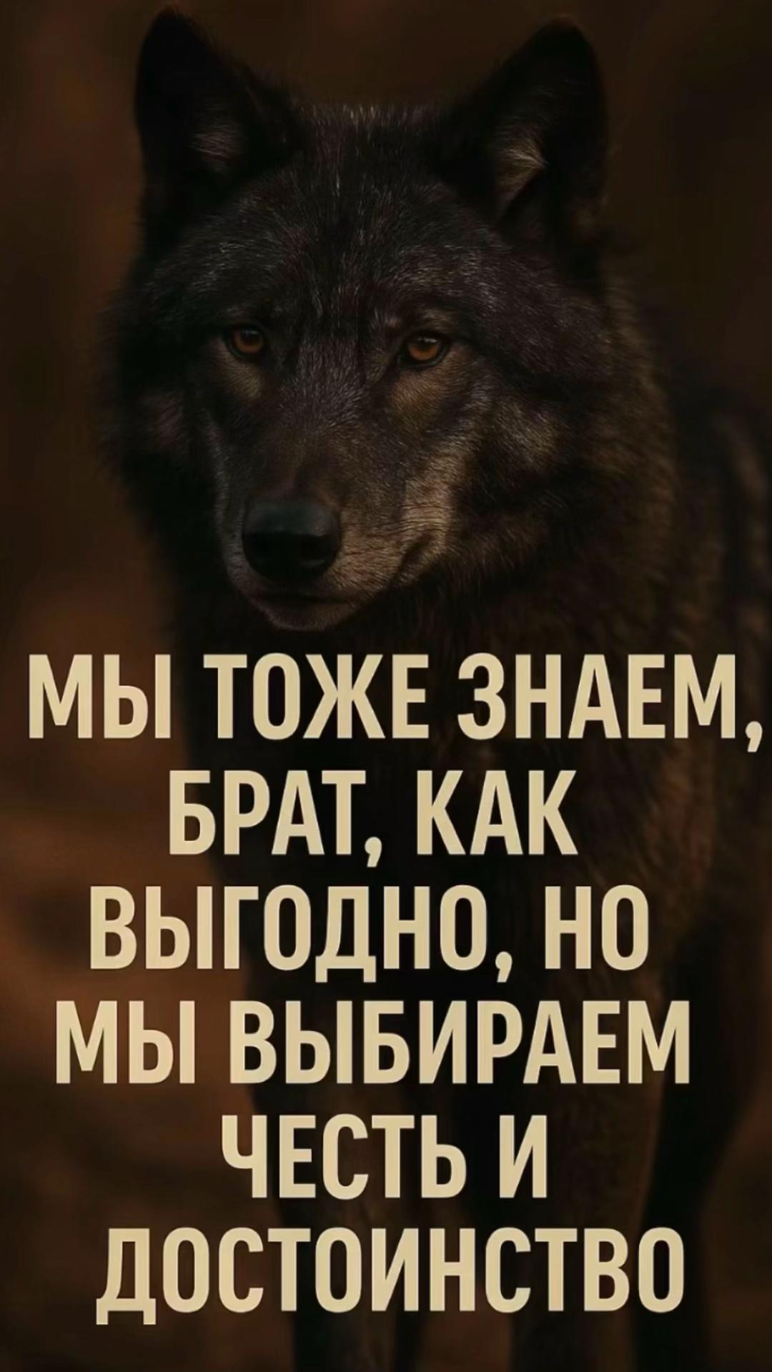 @Ruslan777