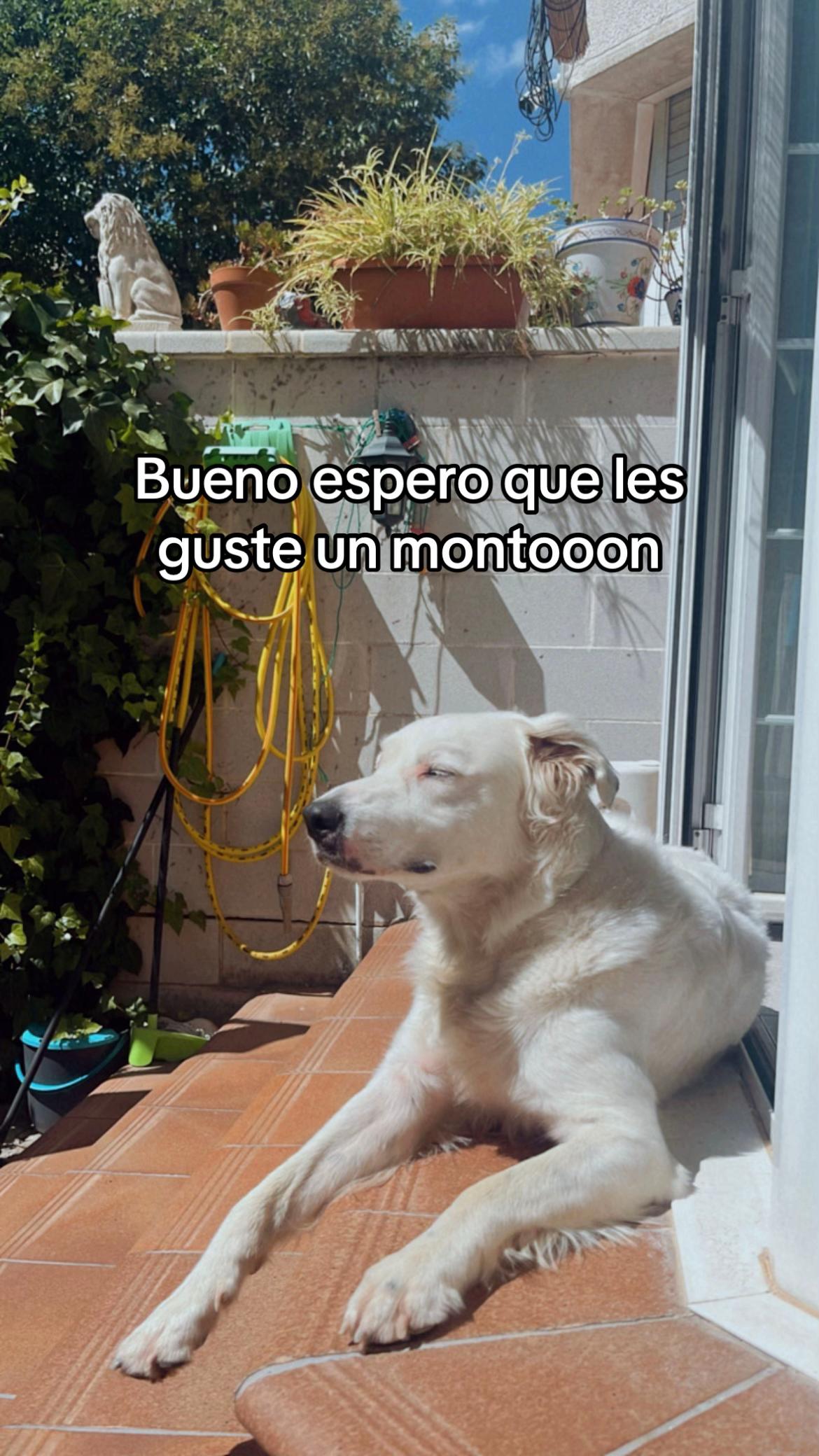 @marineta_cb