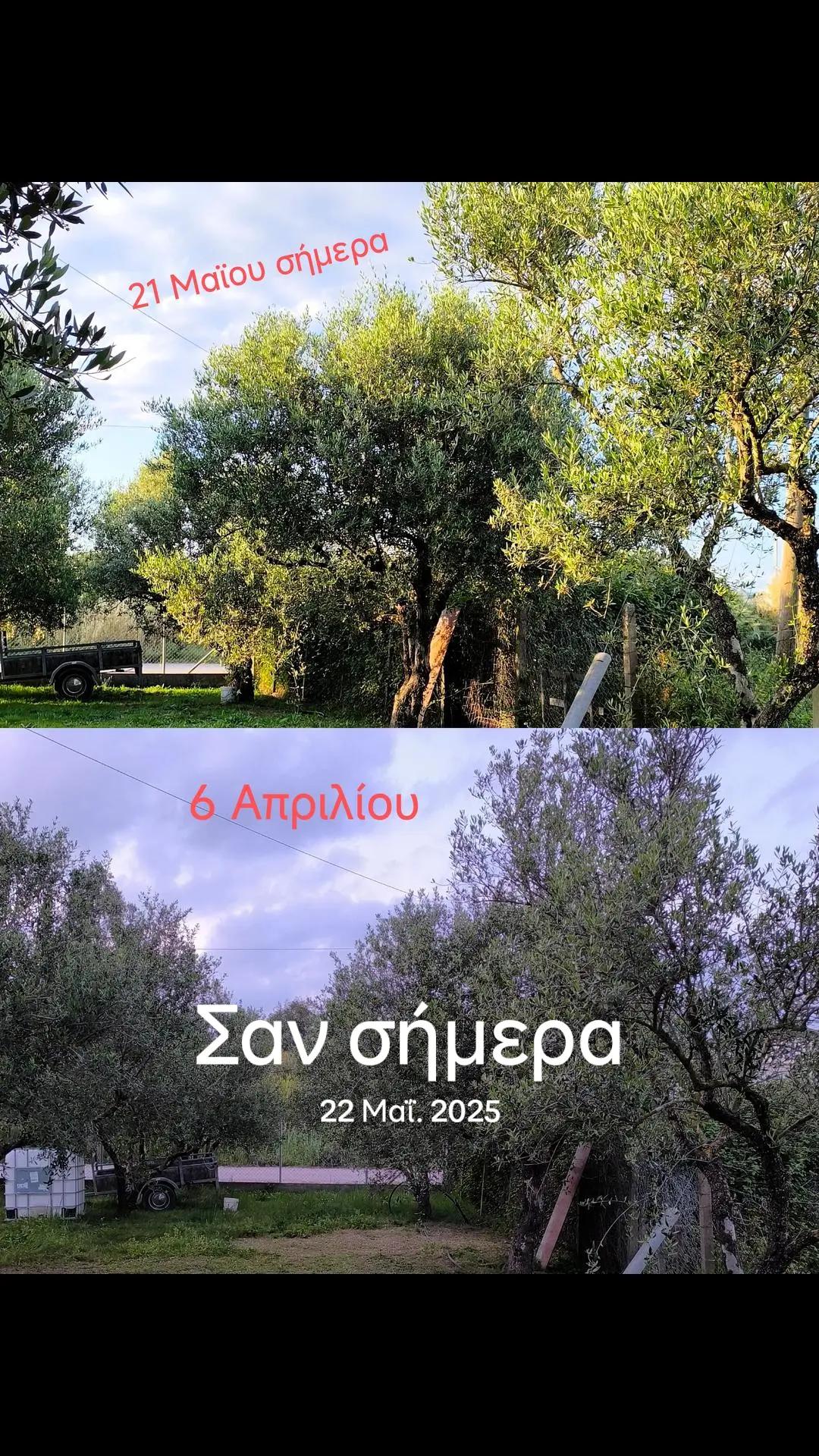 @&Alpha;&gamma;&alpha;&lambda;&iota;&alpha;&nu;ό&sigmaf; &Iota;&omega;ά&nu;&nu;&eta;&sigmaf; &Gamma;&epsilon;&omega;&pi;ό&nu;&omicron;&sigmaf;