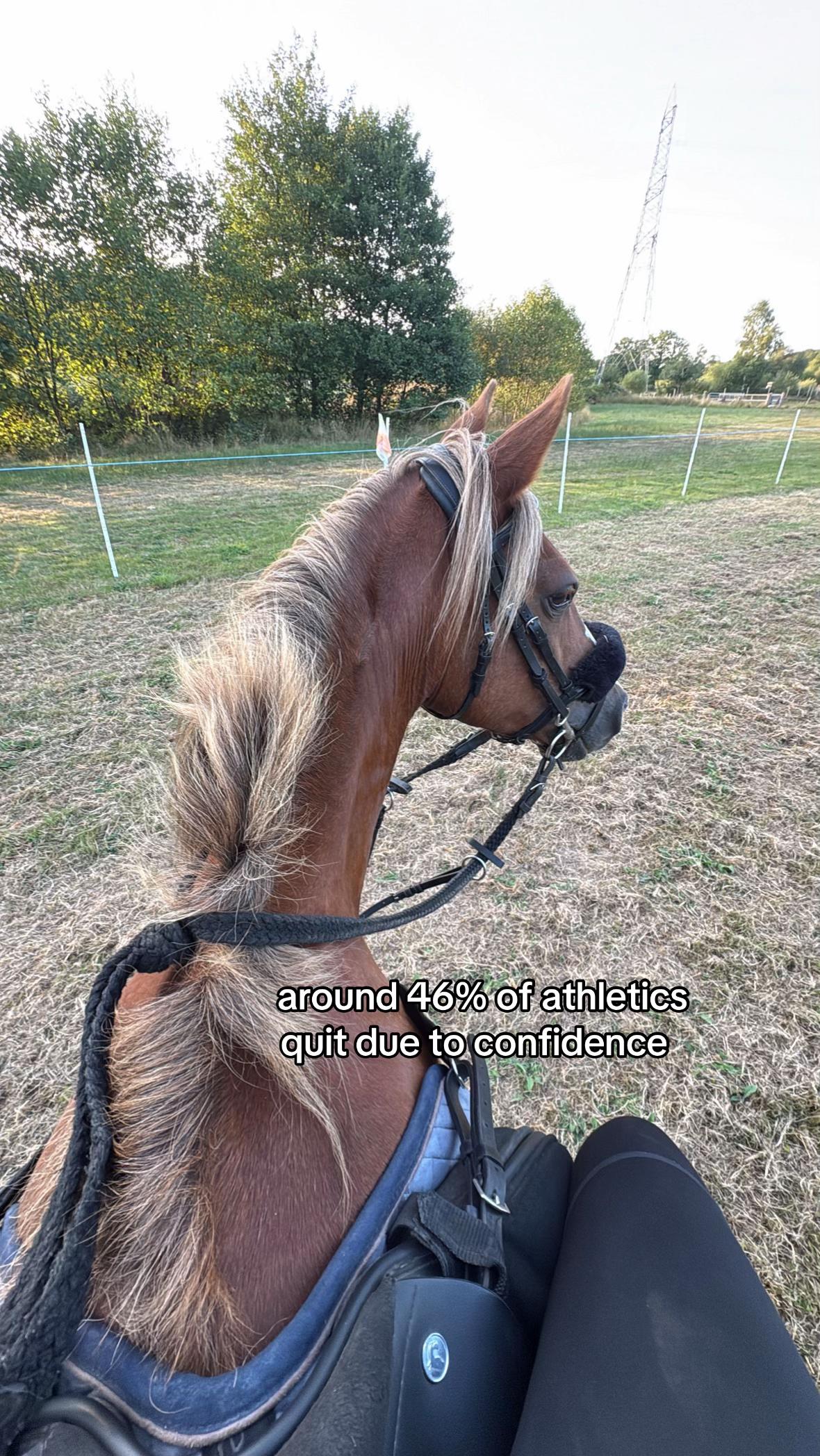@shelbyshorseaccount