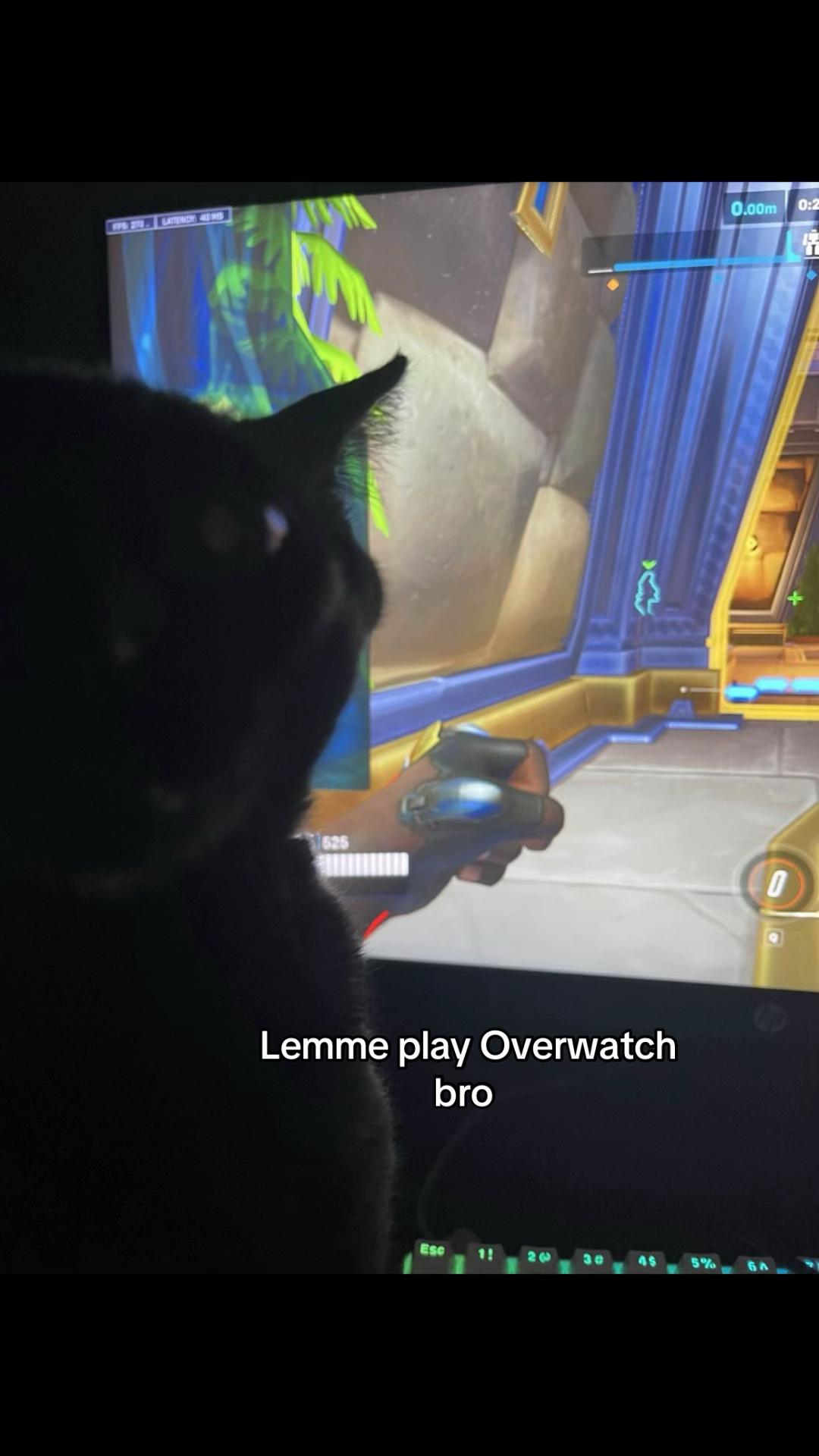 @overwatch.videos