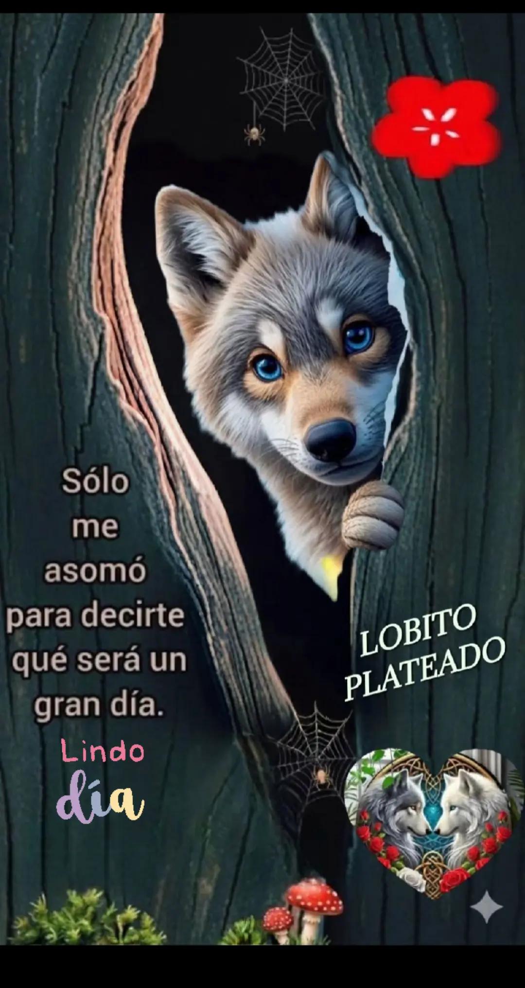 @🐺🐺 EMILIO loureda🔥🔥#
