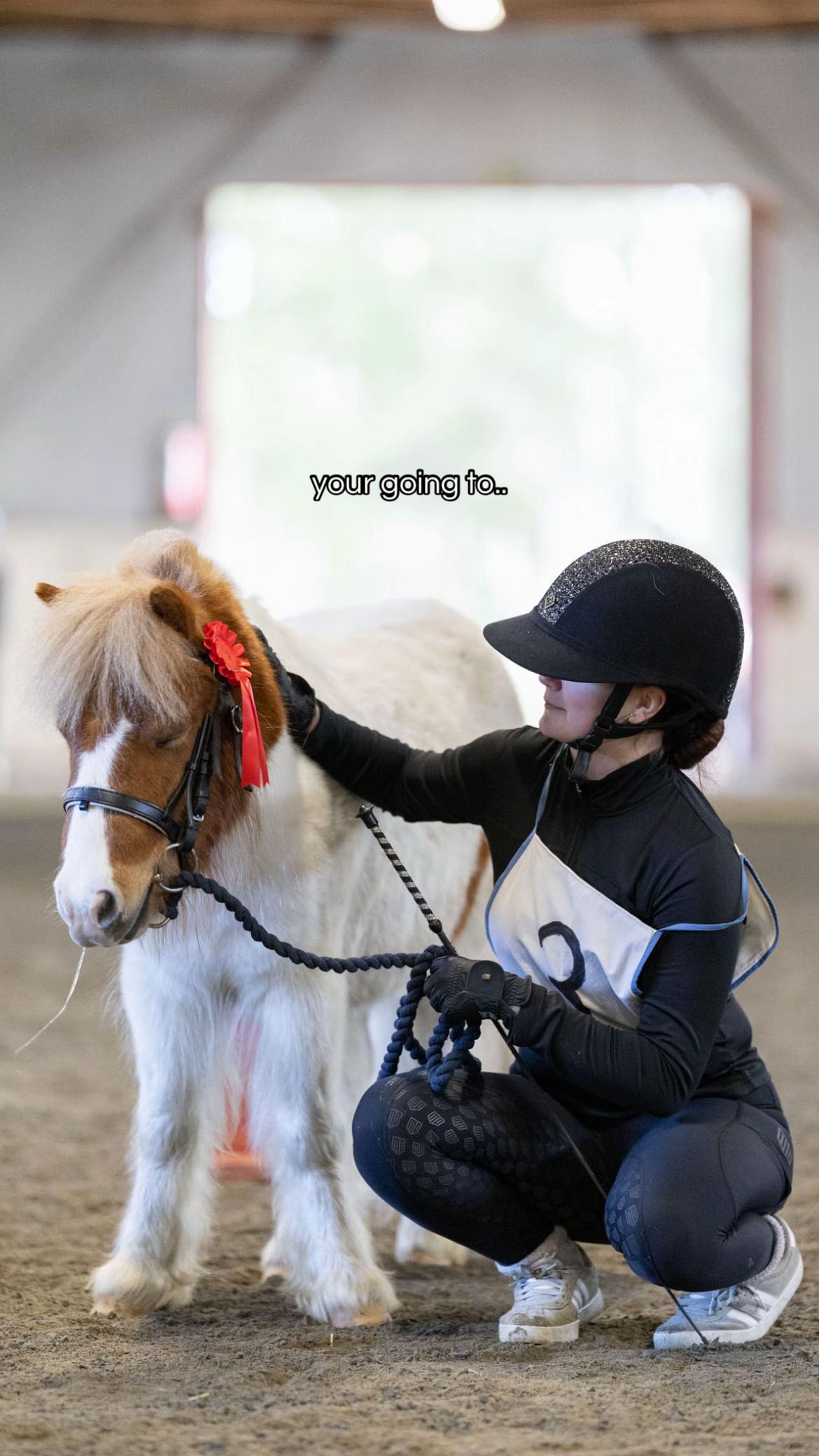 @krista || ig kayhkodressage