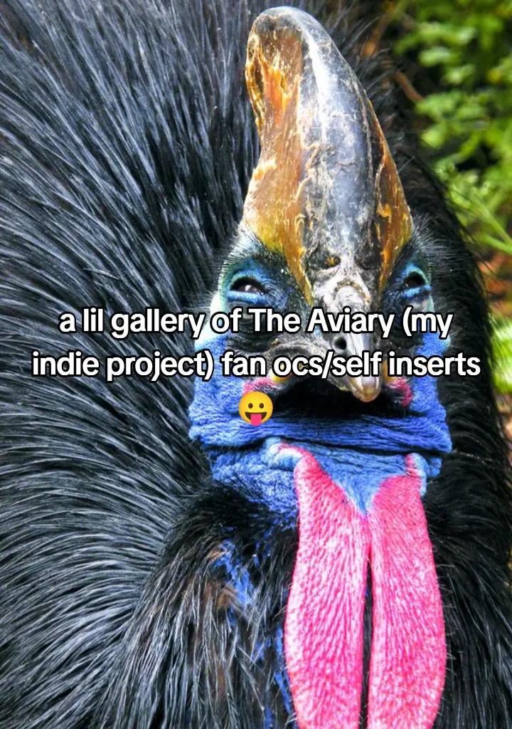@Embrex 𓂃🪶⋆ ⌗1 Nigel fan ᵎᵎ