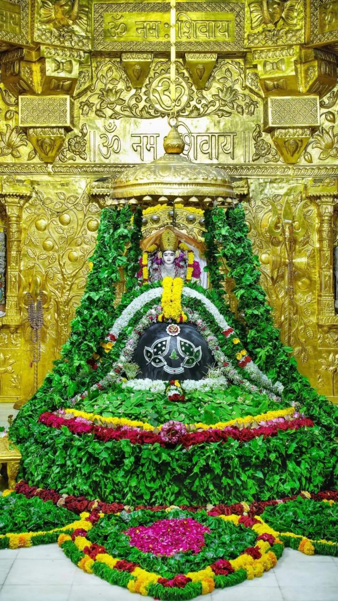 @Radha Radha 🙏