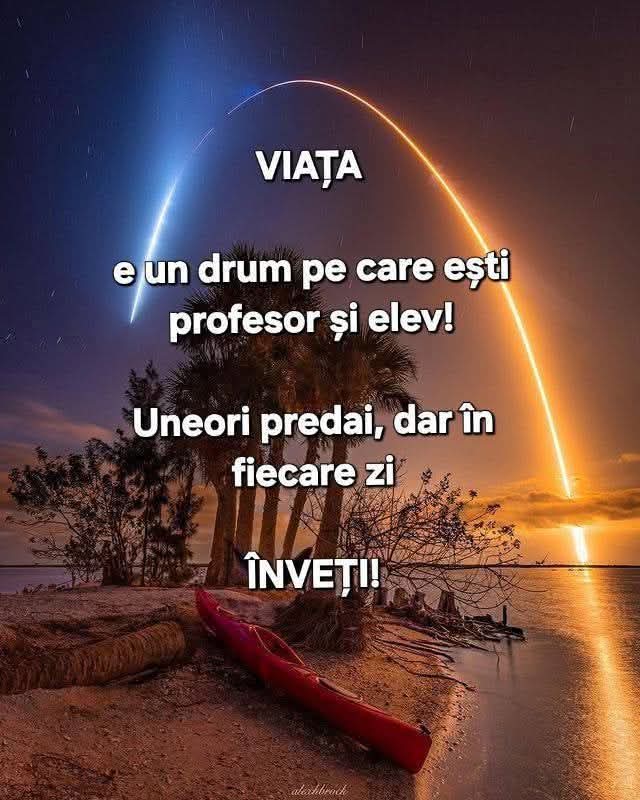 @Mariuta
