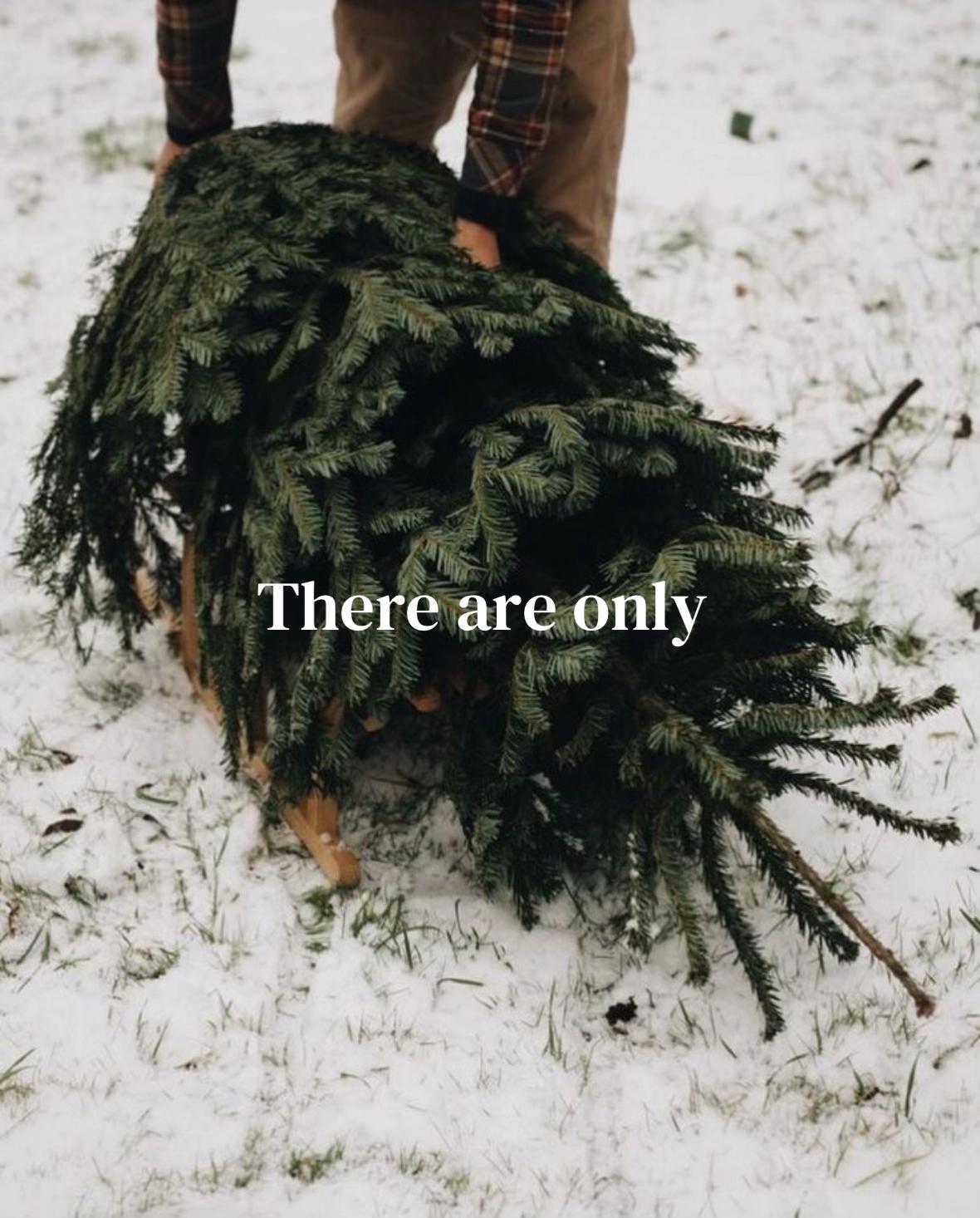 @AshleighLovesChristmas