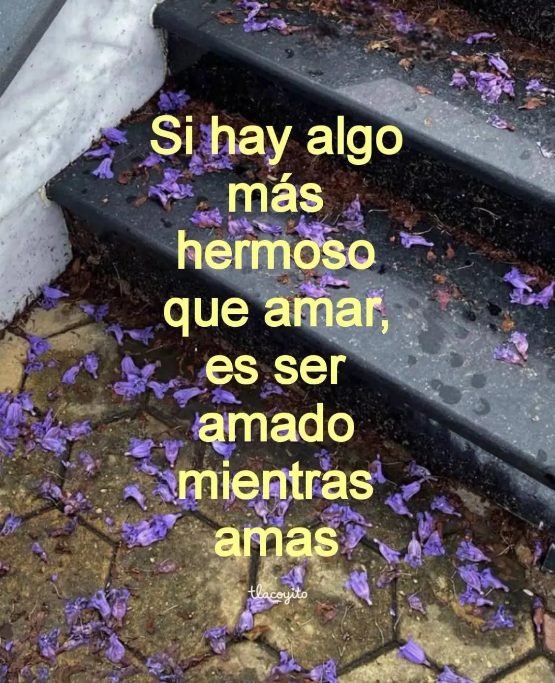 @Carlos Alberto