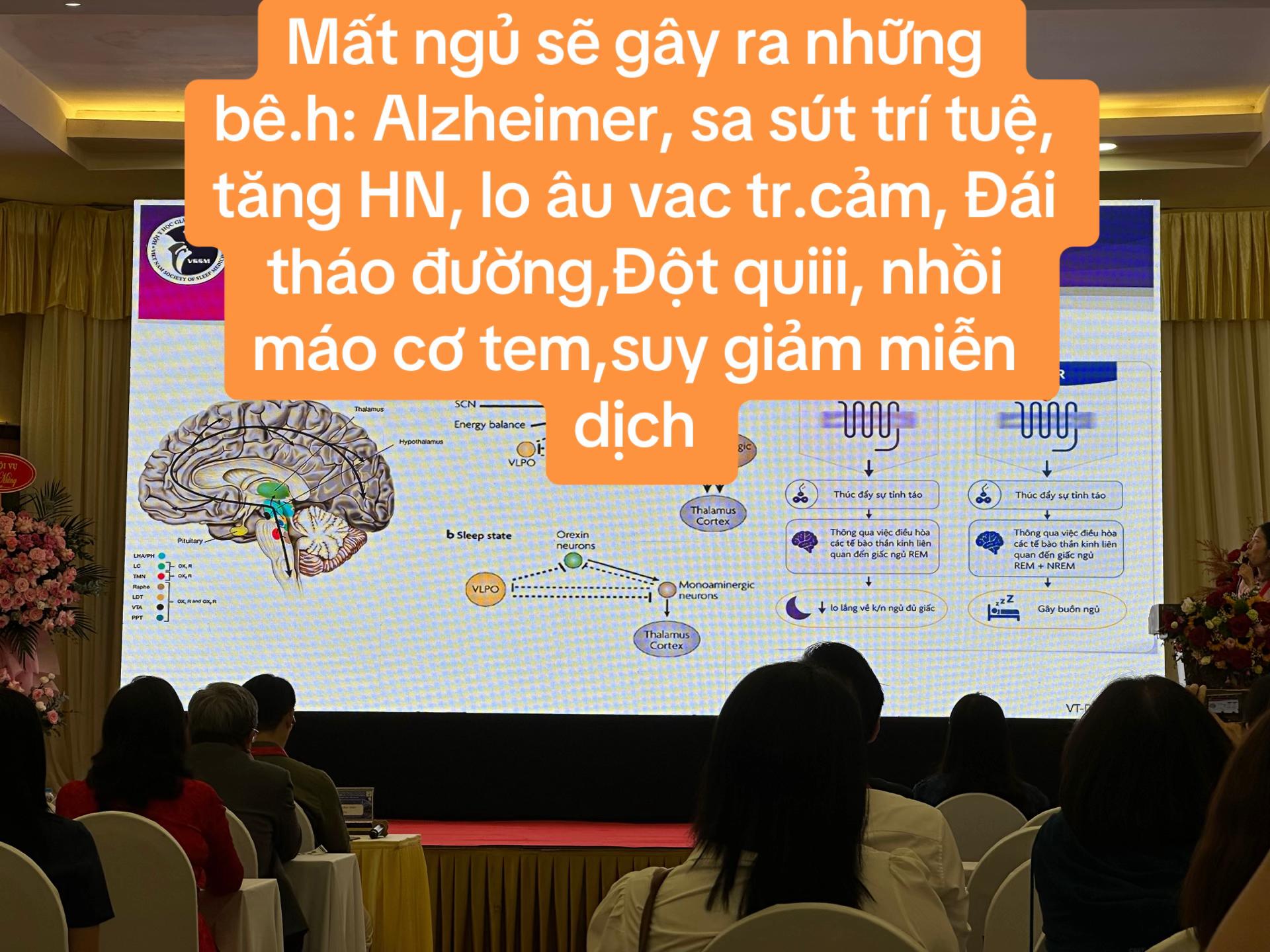 @Hoa s&uacute;n ( nh&iacute; nhố)