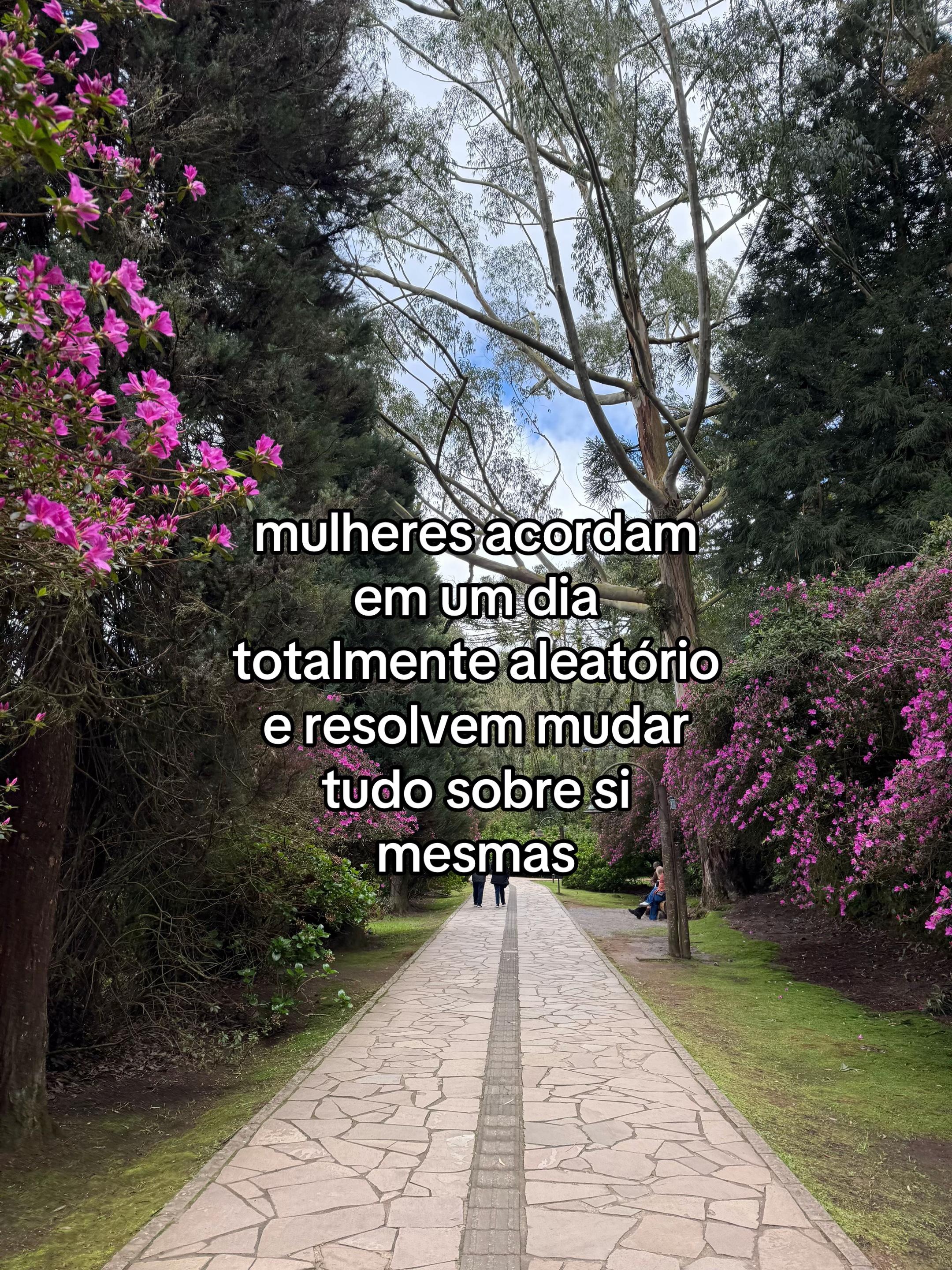@beatrizmorass