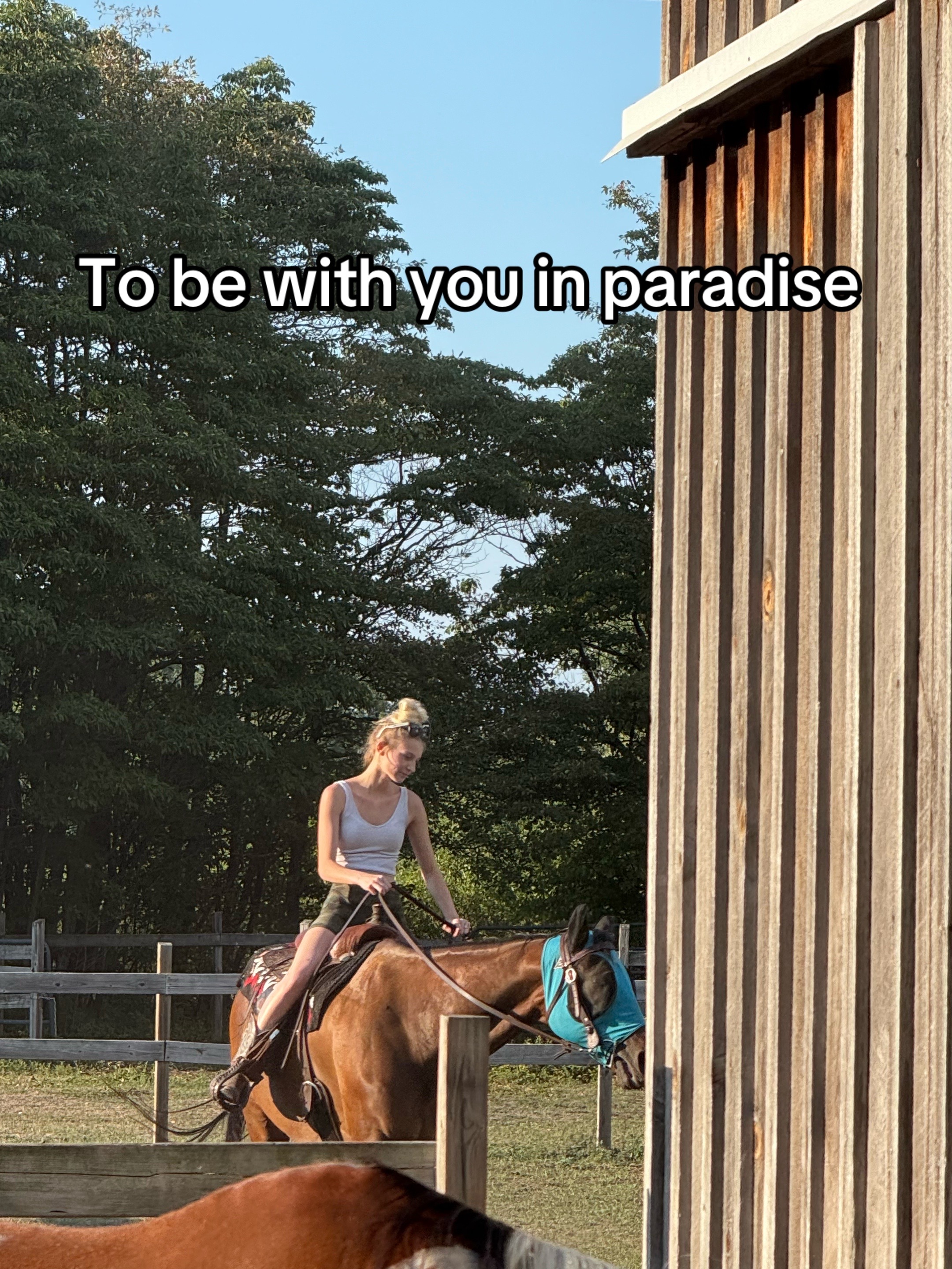 @Arrienne🤠