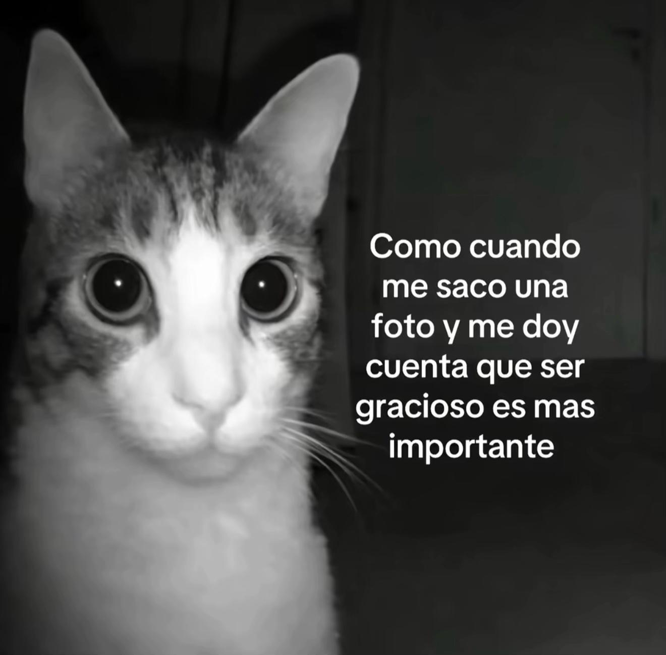 @romanitoo.9