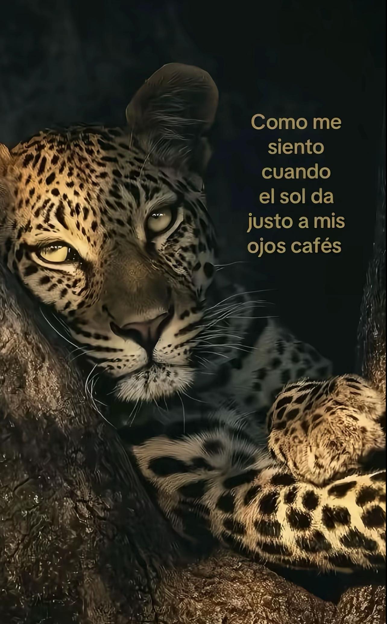 @la_famosa_kelly_kelly