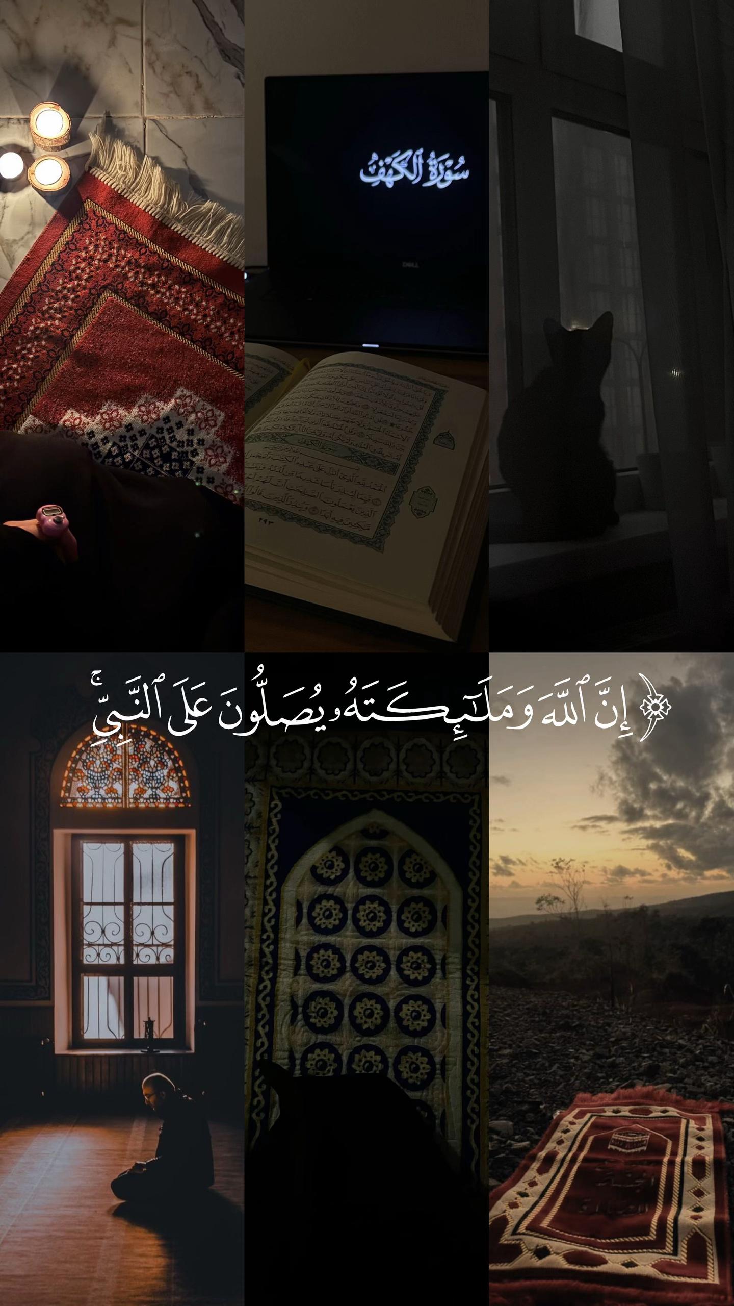 @📿اصيل المركعي📚