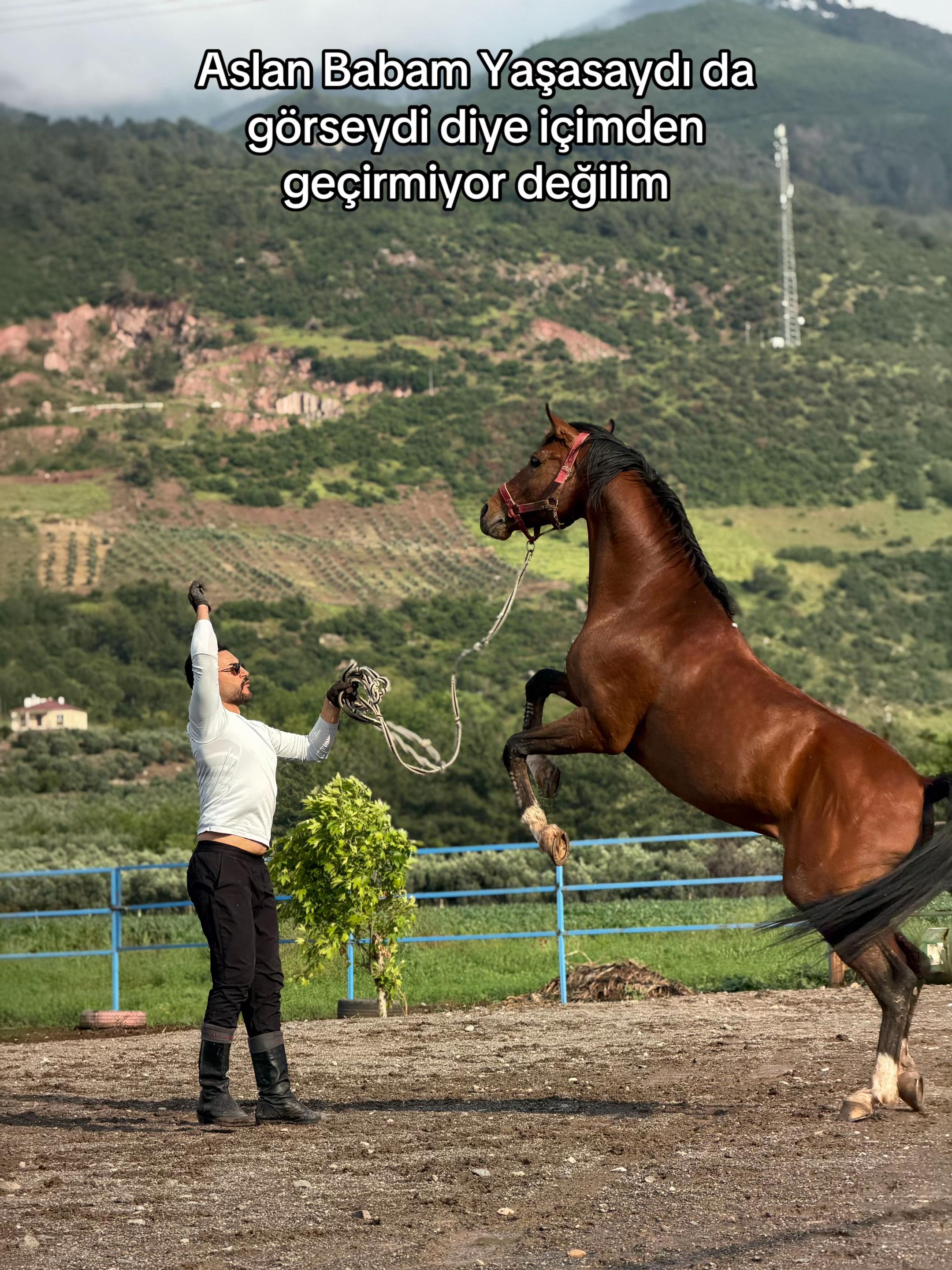 @Yücel BATTAL