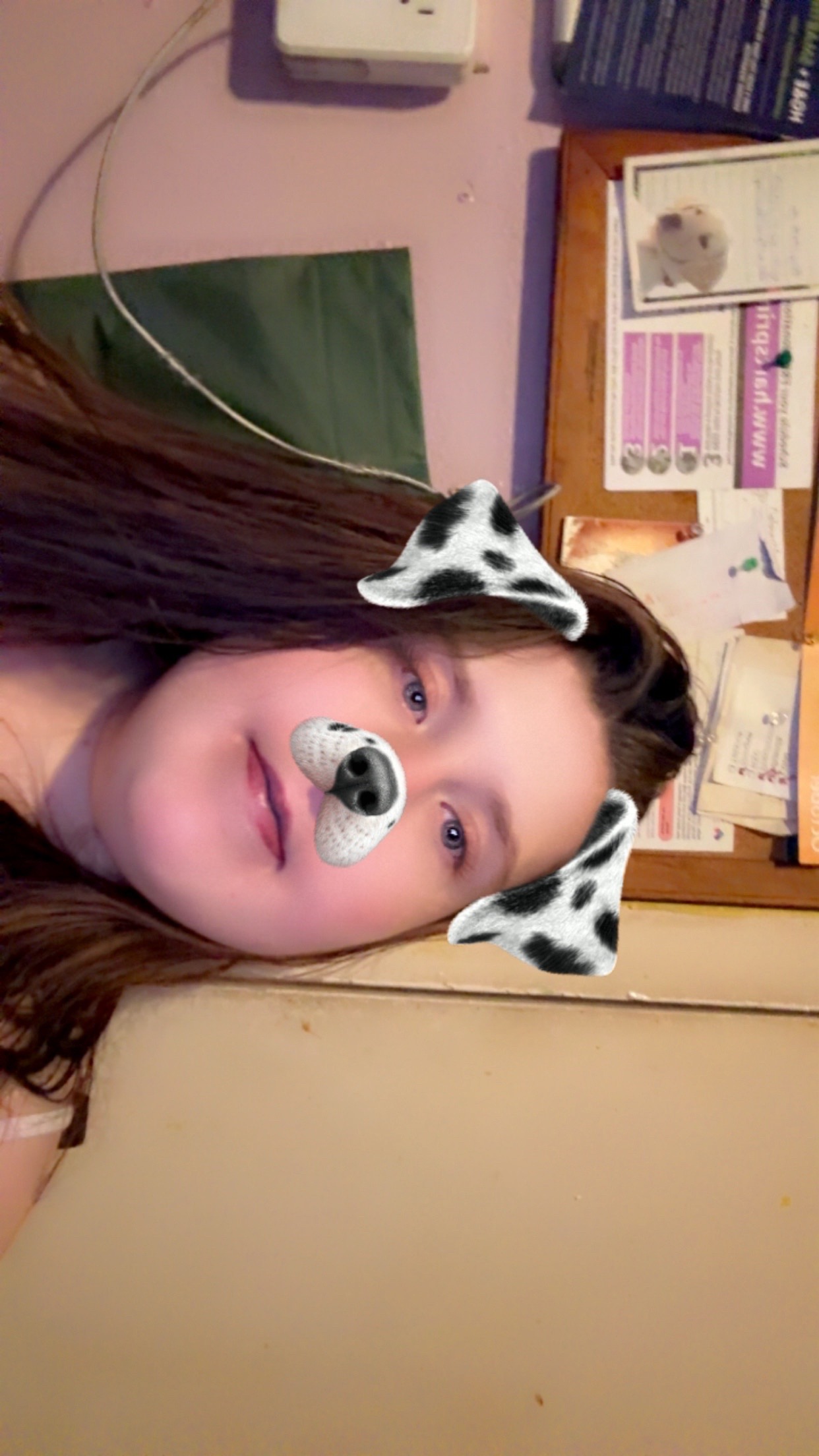 @saraguevin26