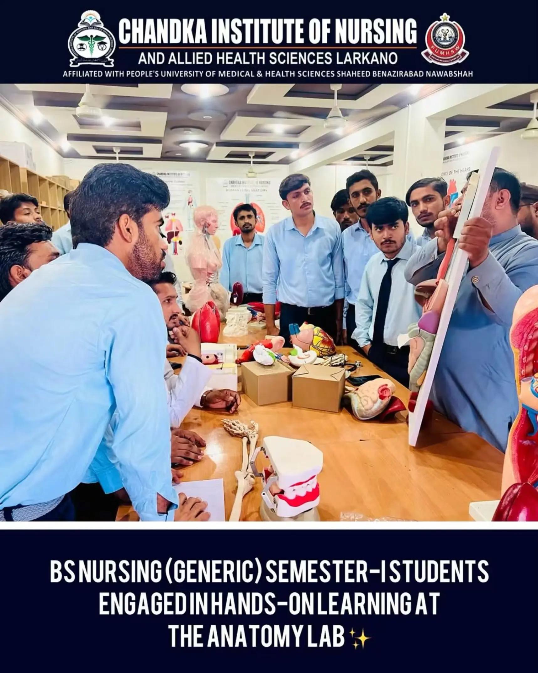 @Chandka Institute Nursing Lark