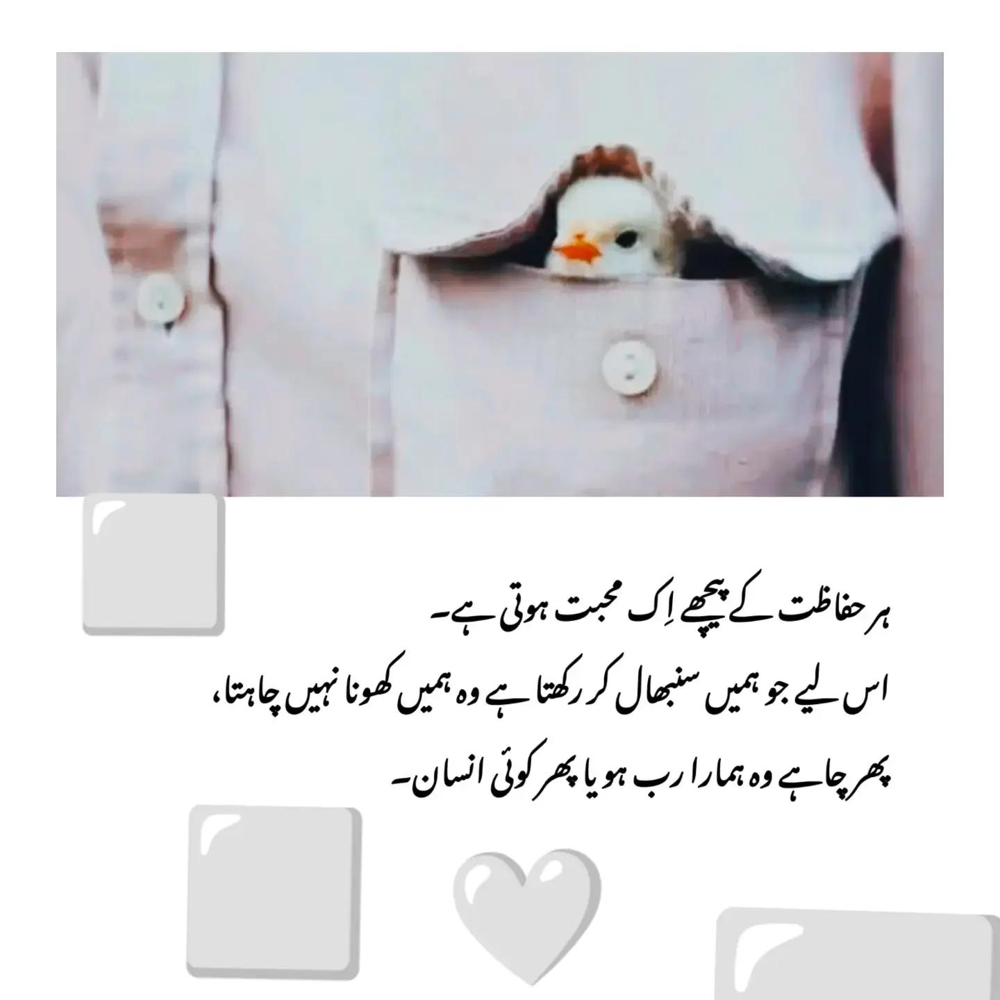 @ZAIN_89🖤