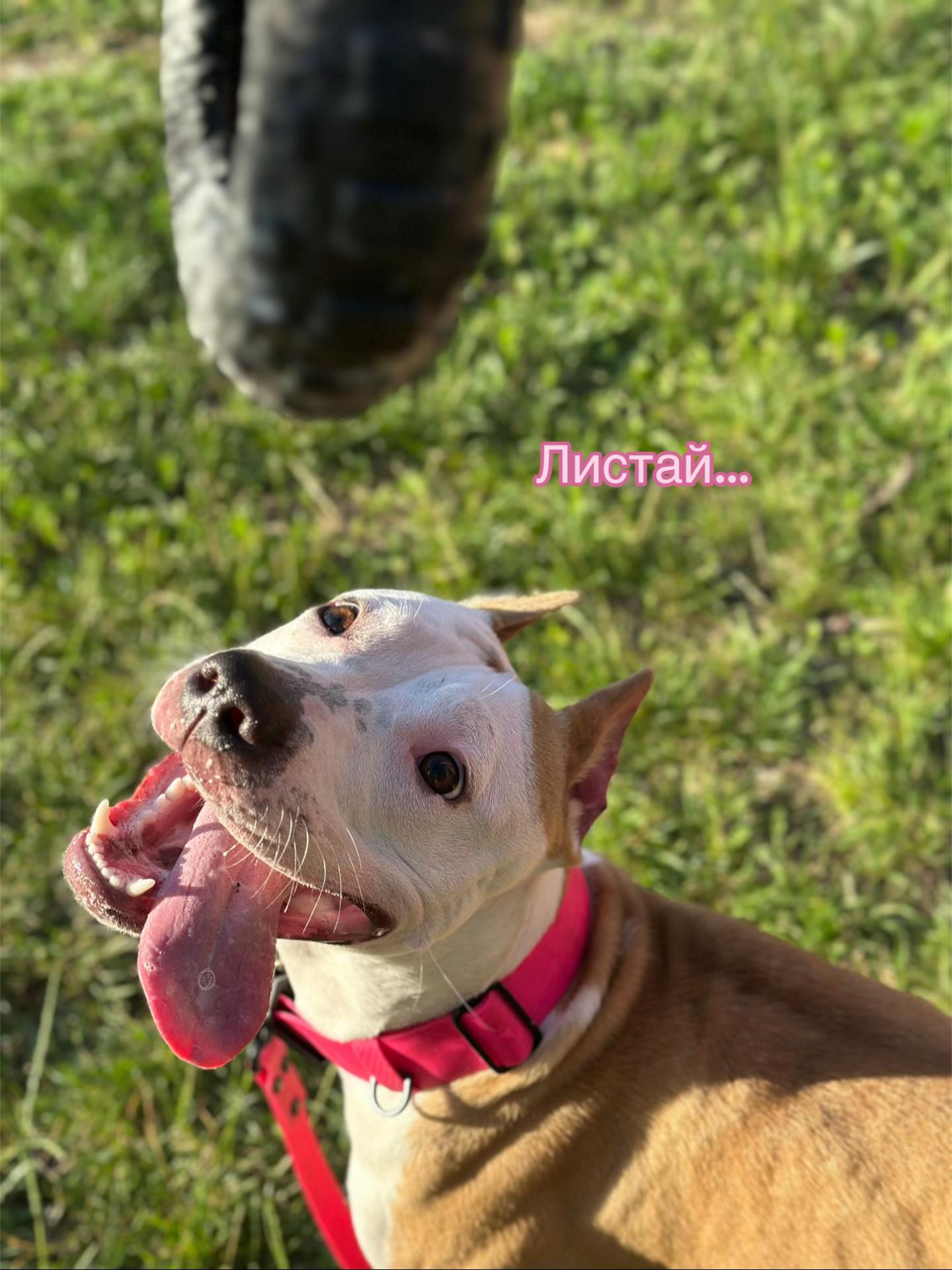 @🦋ТГК:PitoStaff_Milfa🦋