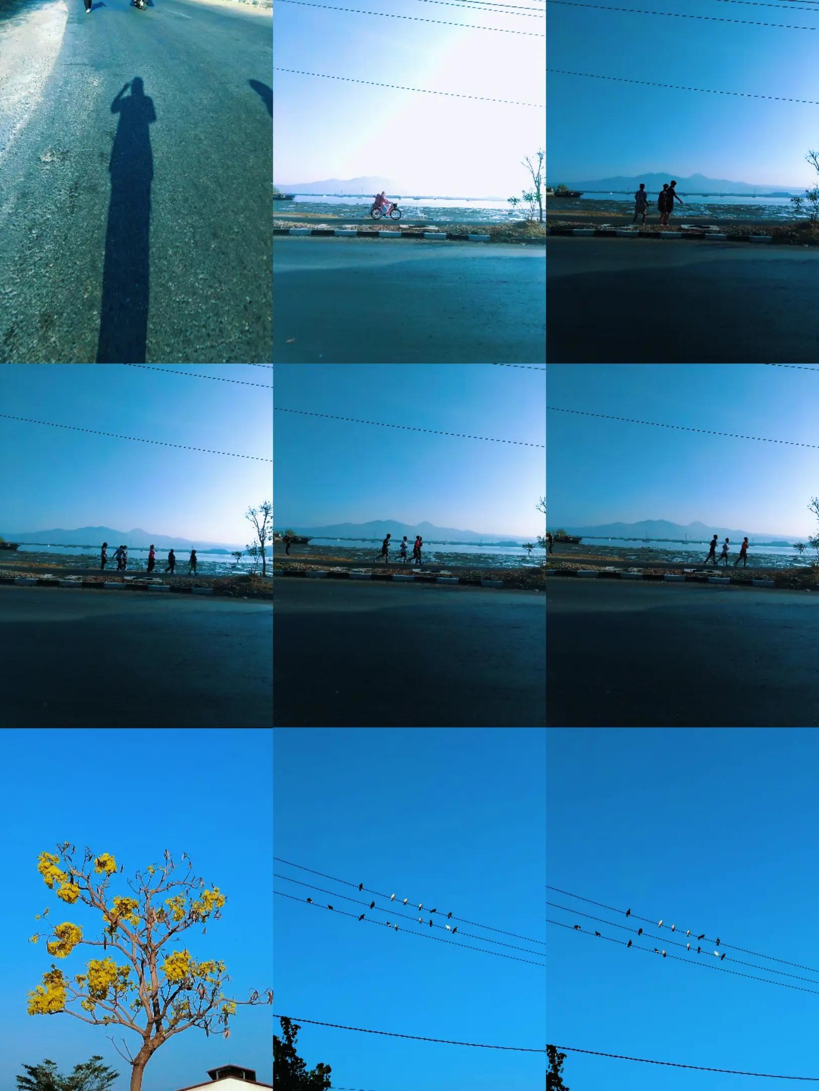 @dharaAraa