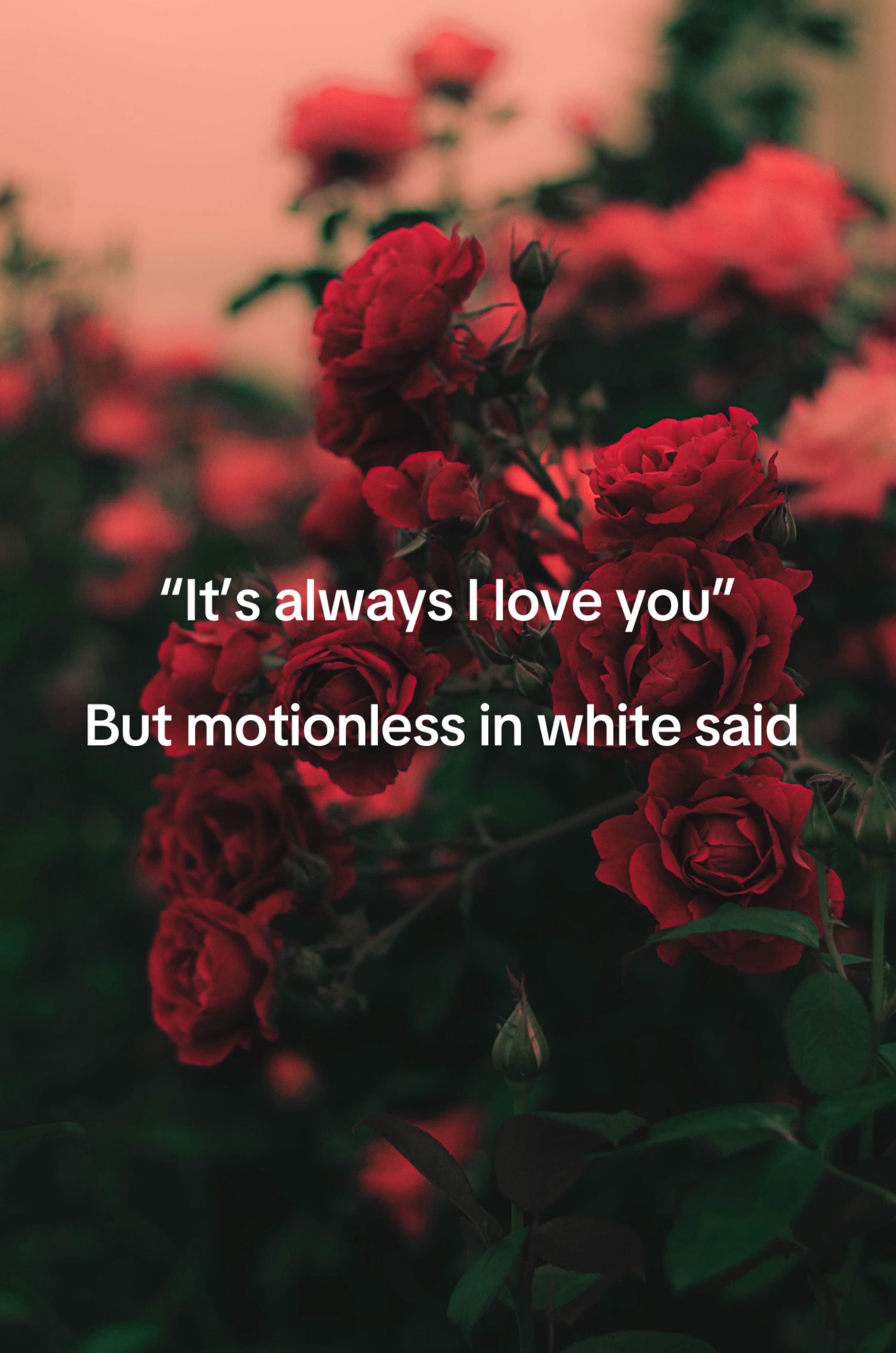 @Kaitlyn Mathaus ⧖