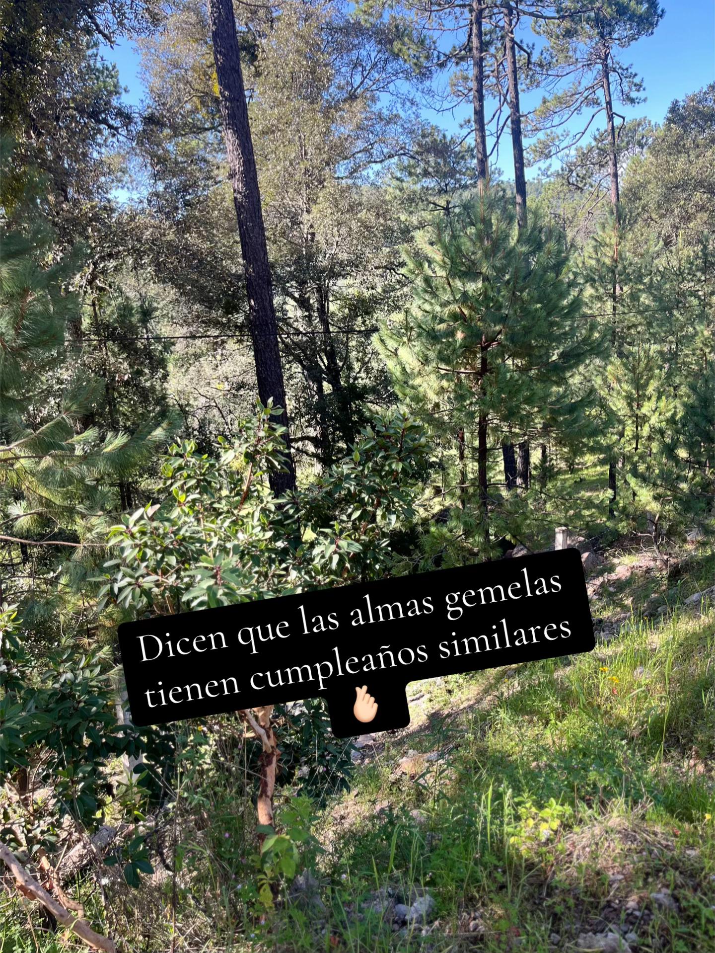 @FlorOntiveros