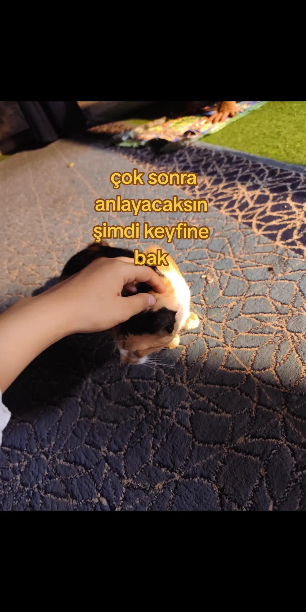 @𝒁𝒆𝒚𝒏𝒆𝒑 💙