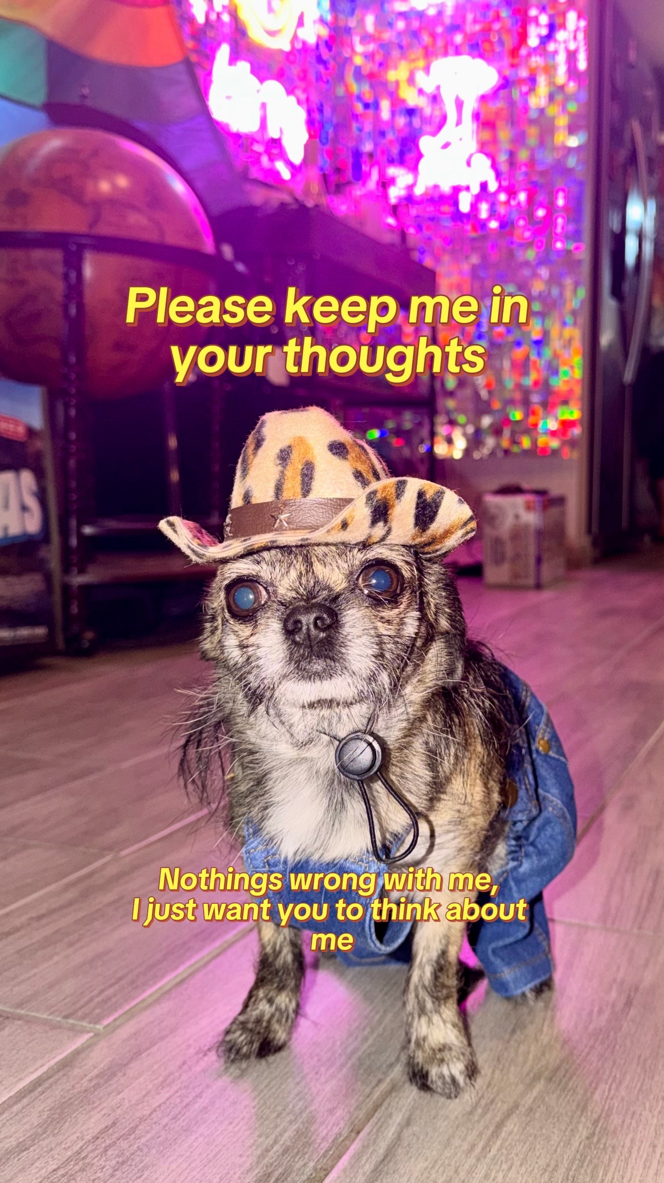 @Sam&Squeak