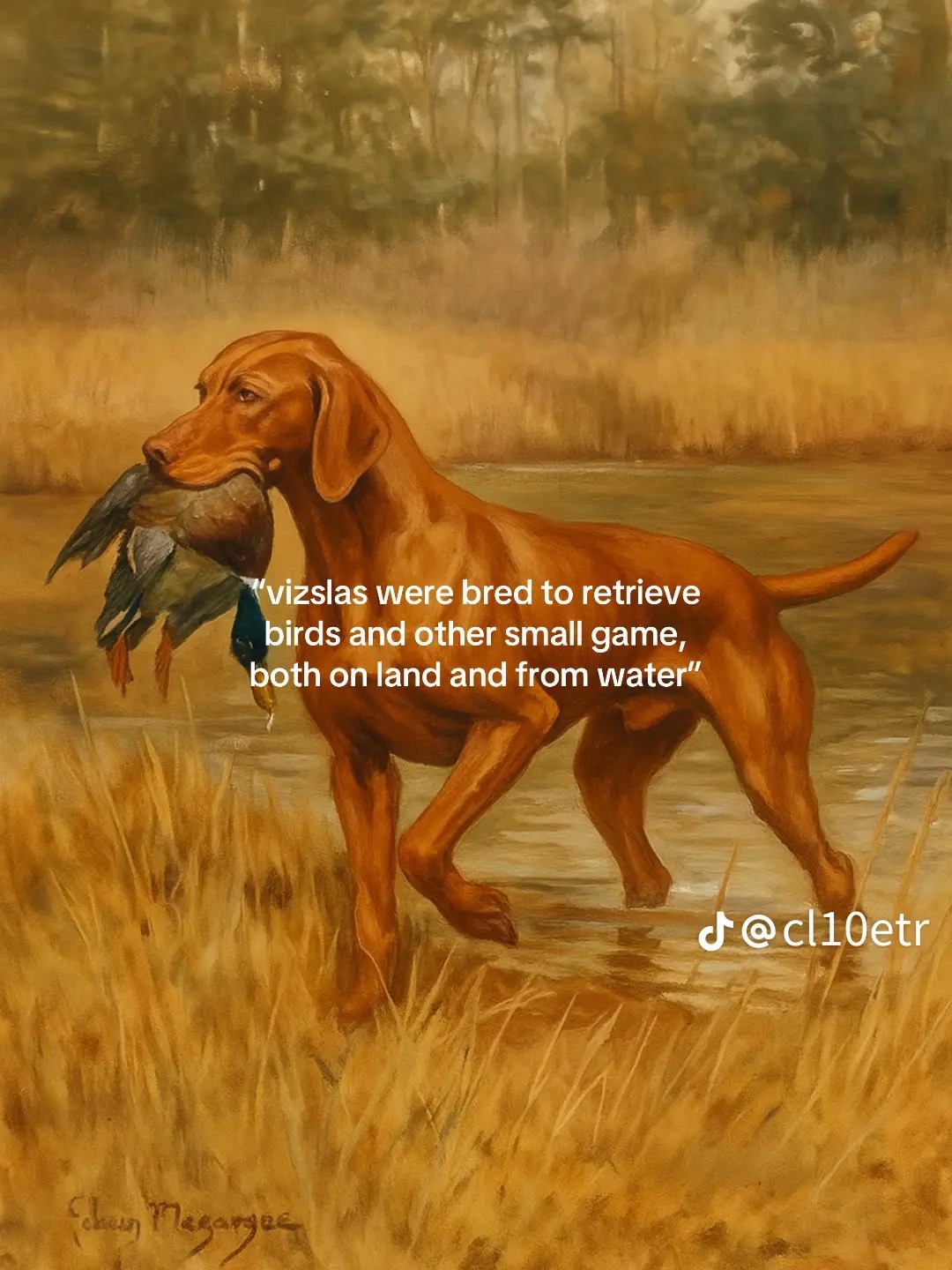 @Acadia Biever