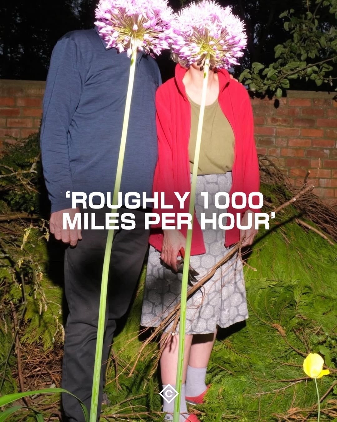 @Contemporary 100