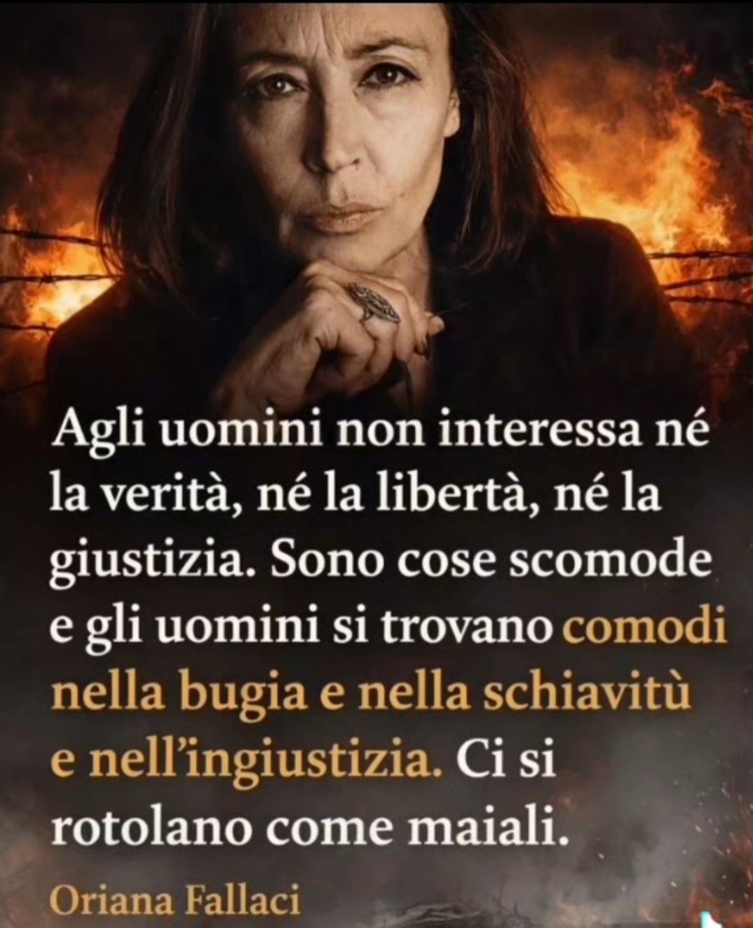 @Laura Loni349